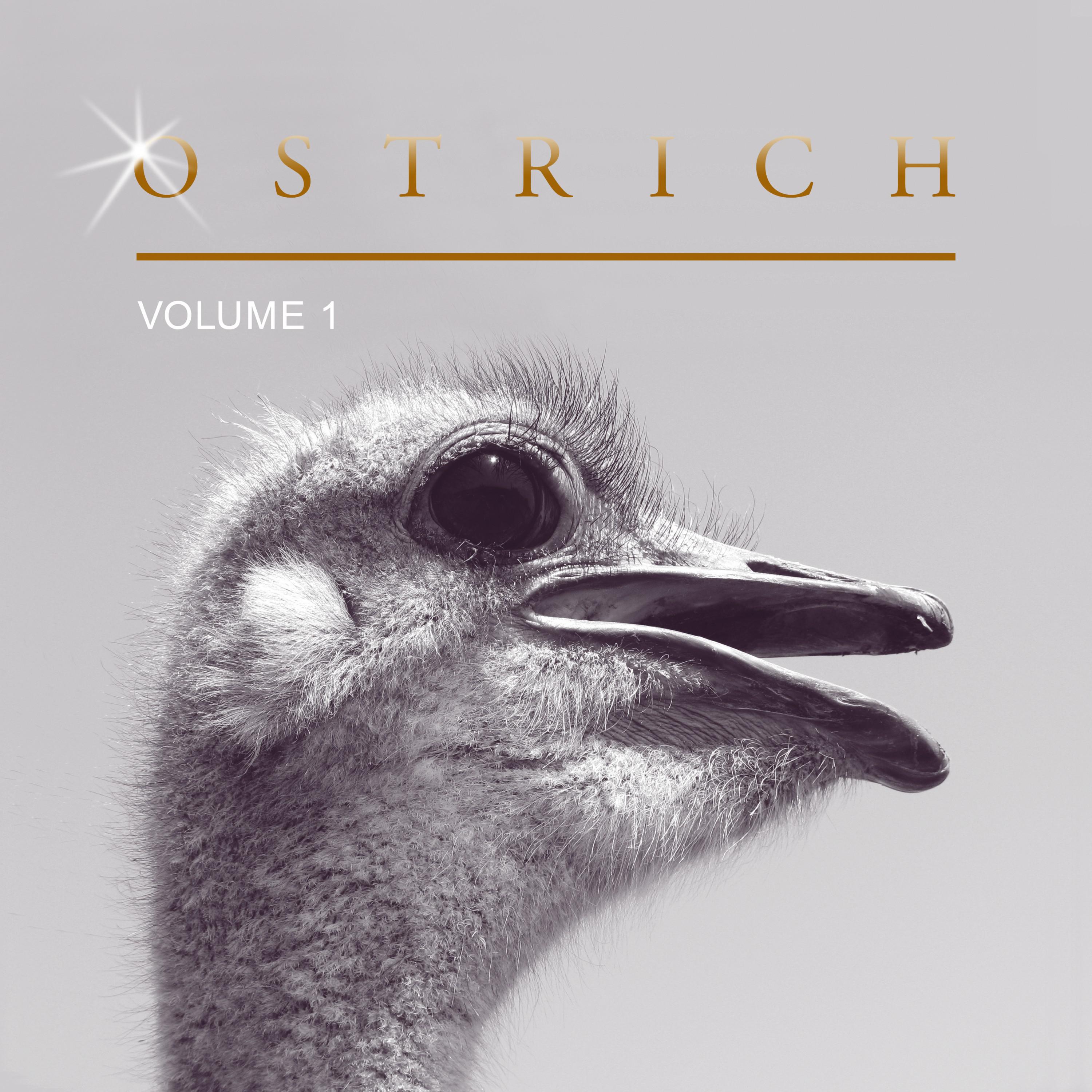 Ostrich, Vol. 1