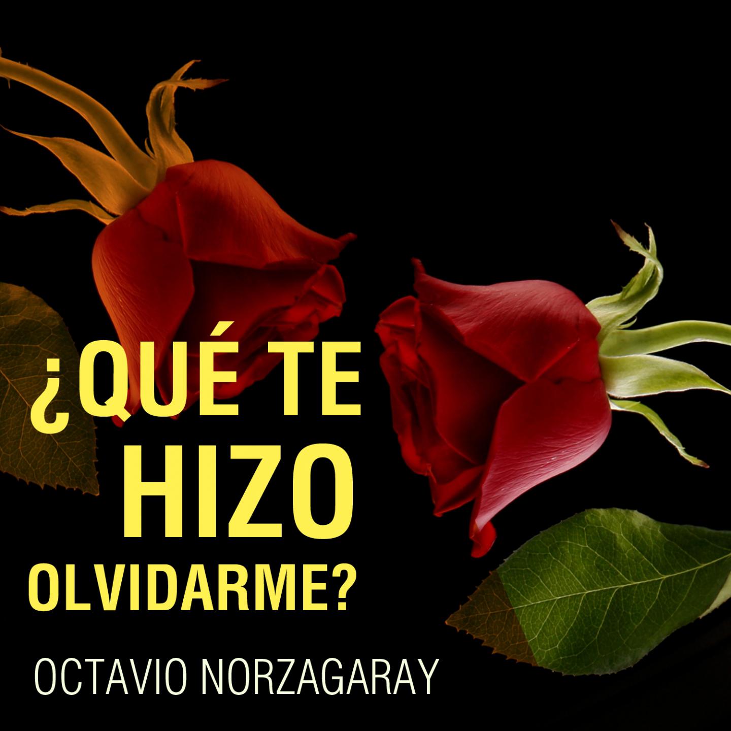 Que Te Hizo Olvidarme?