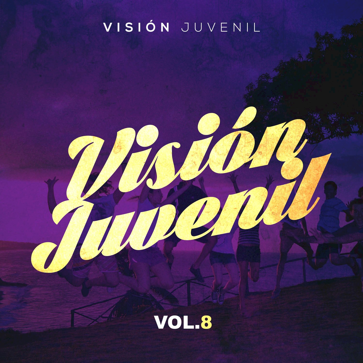 Visio n Juvenil, Vol. 8