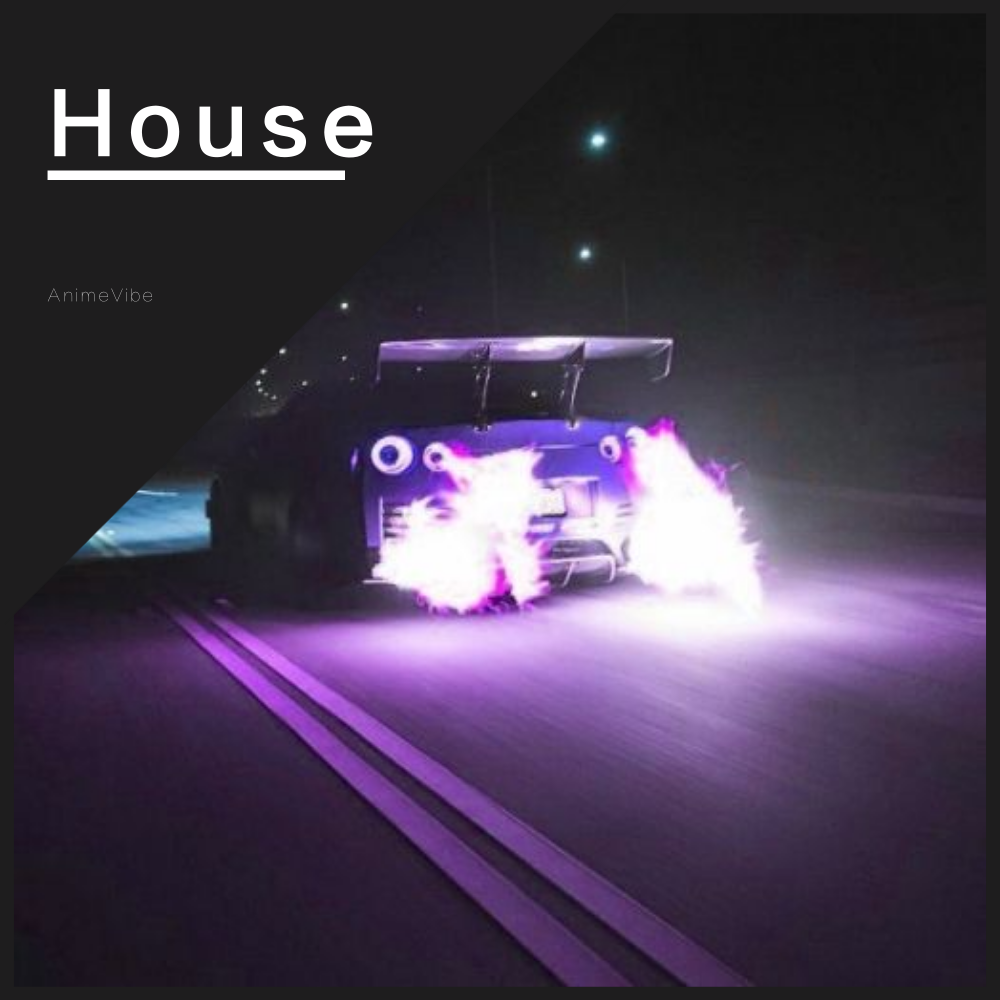 Tokyo  Drift  Deep  House  Cover