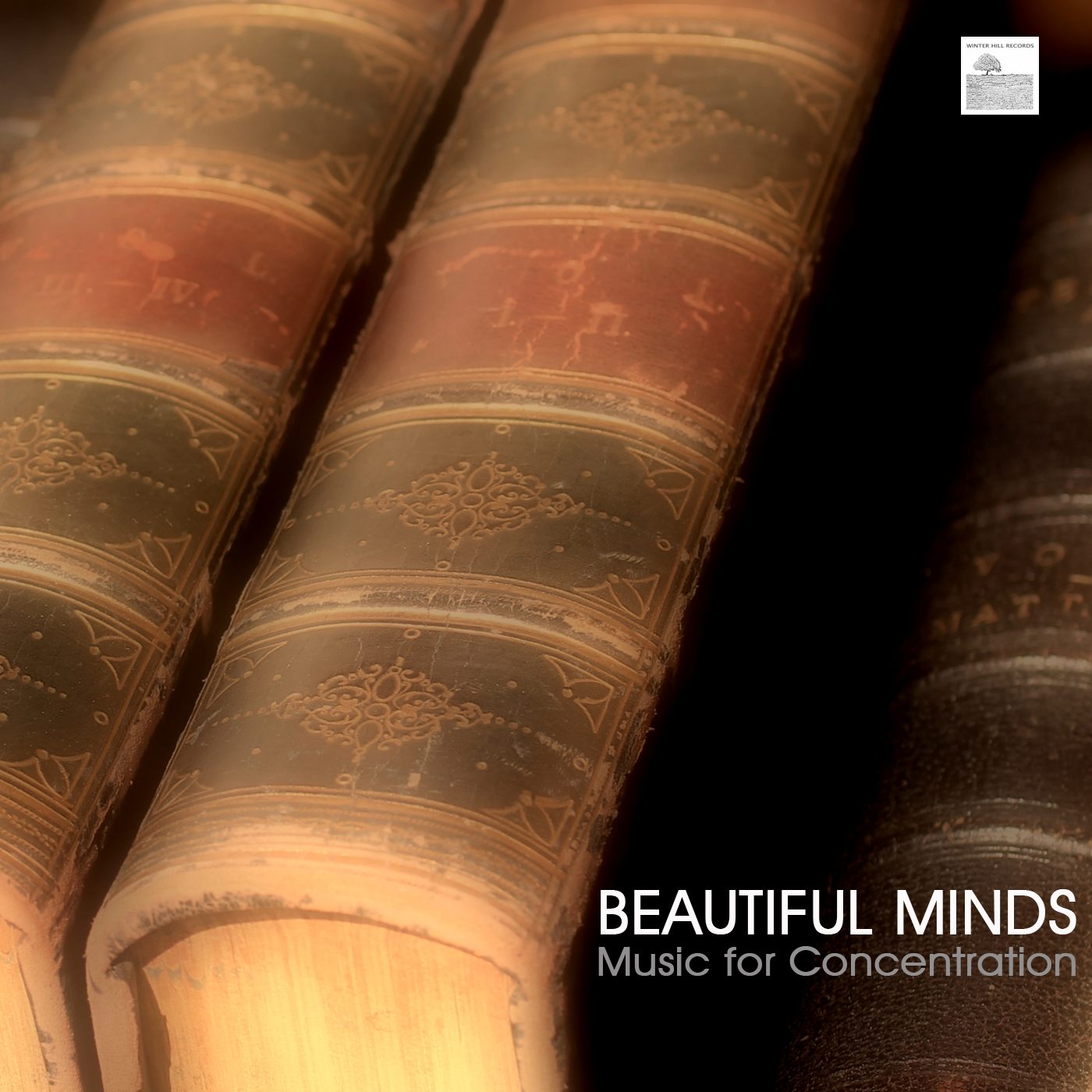 How to Have a Beautiful Mind - Music to Study
