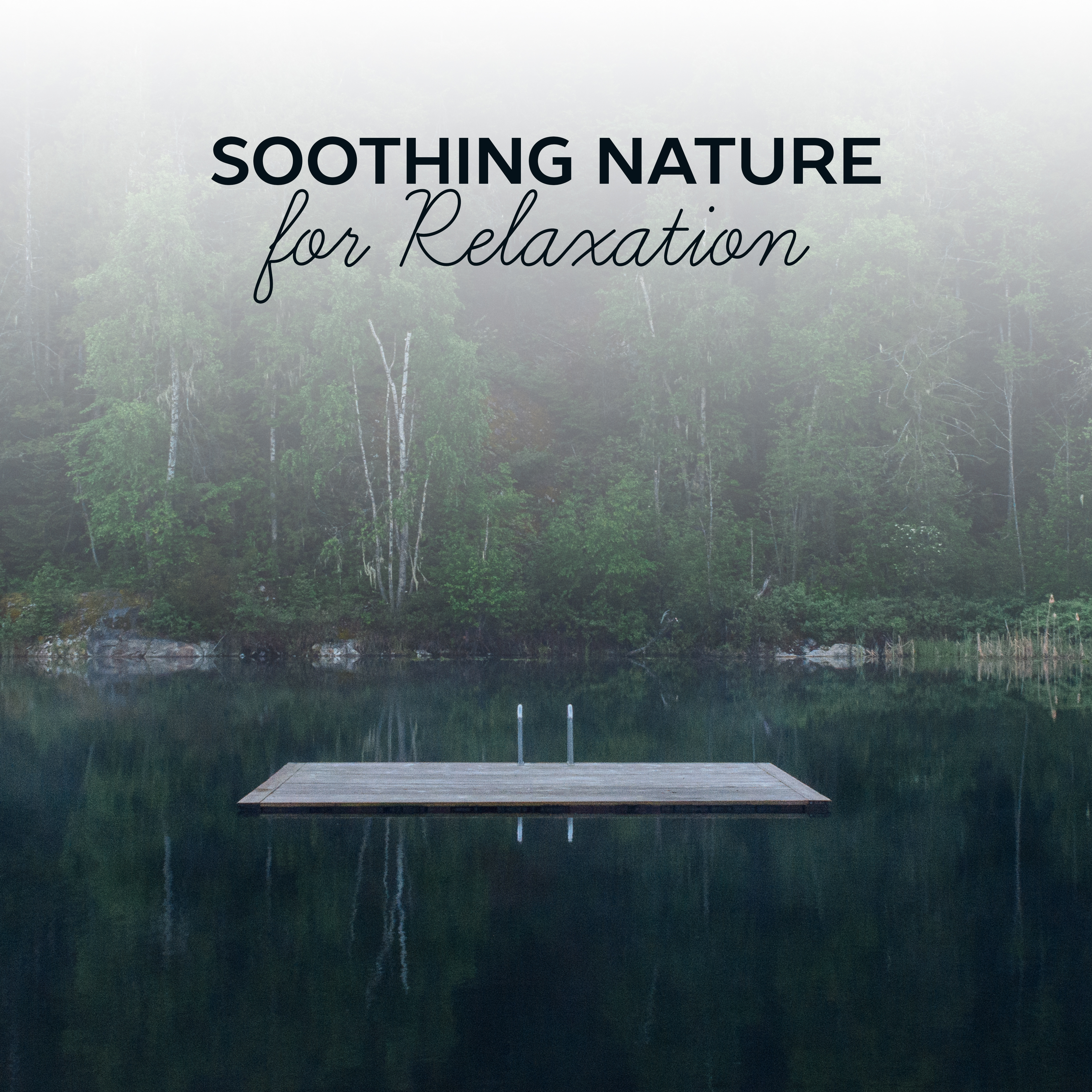 Soothing Nature for Relaxation  Most Beautiful Nature Sounds, Singing Birds, Wind Waves, Soft Music