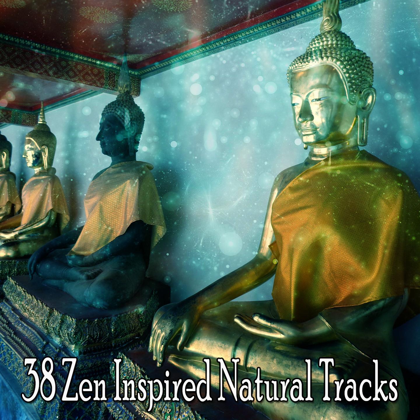 38 Zen Inspired Natural Tracks