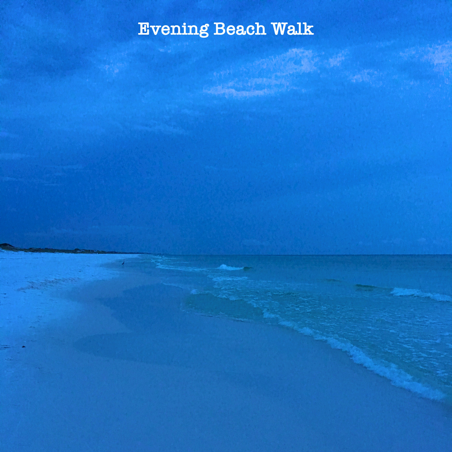 Evening Beach Walk