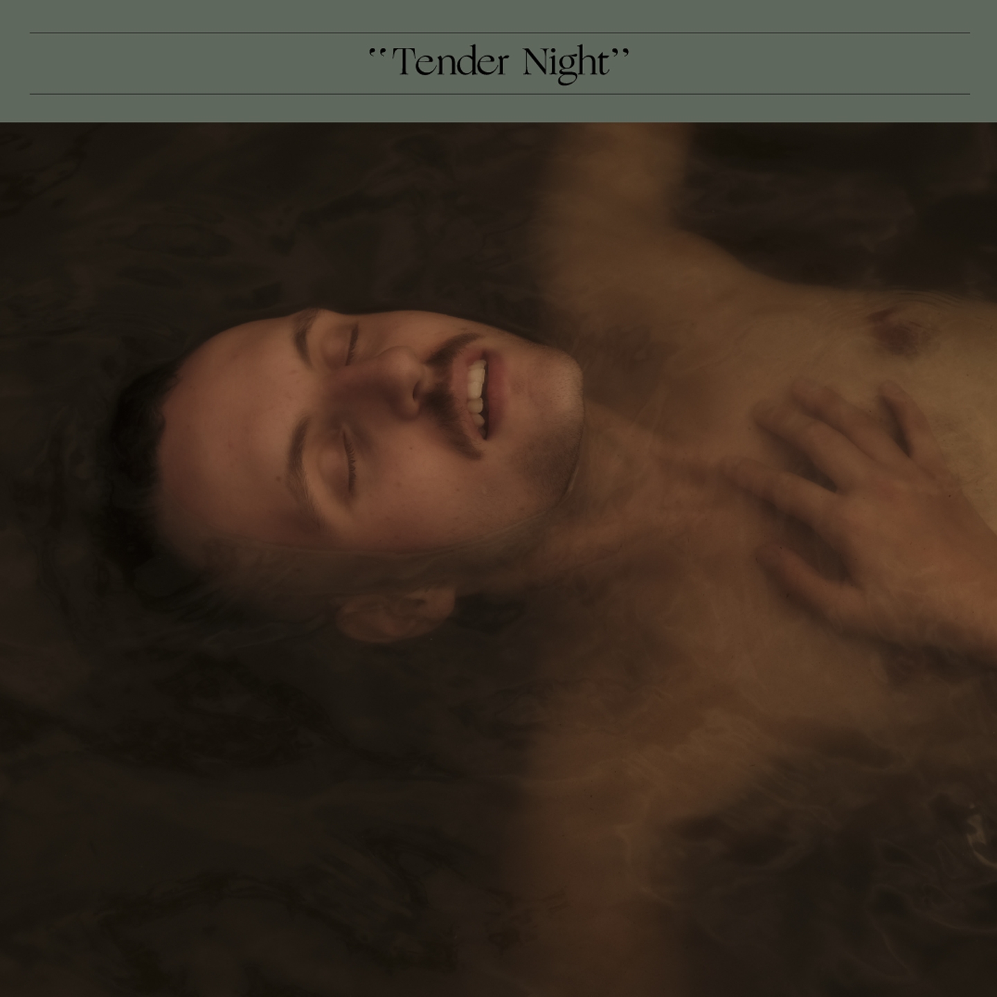 Tender Night