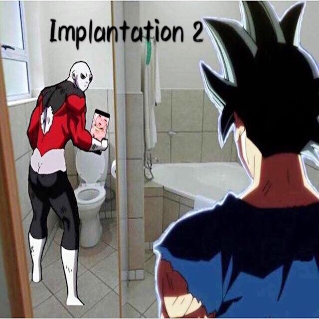 Implantation 2
