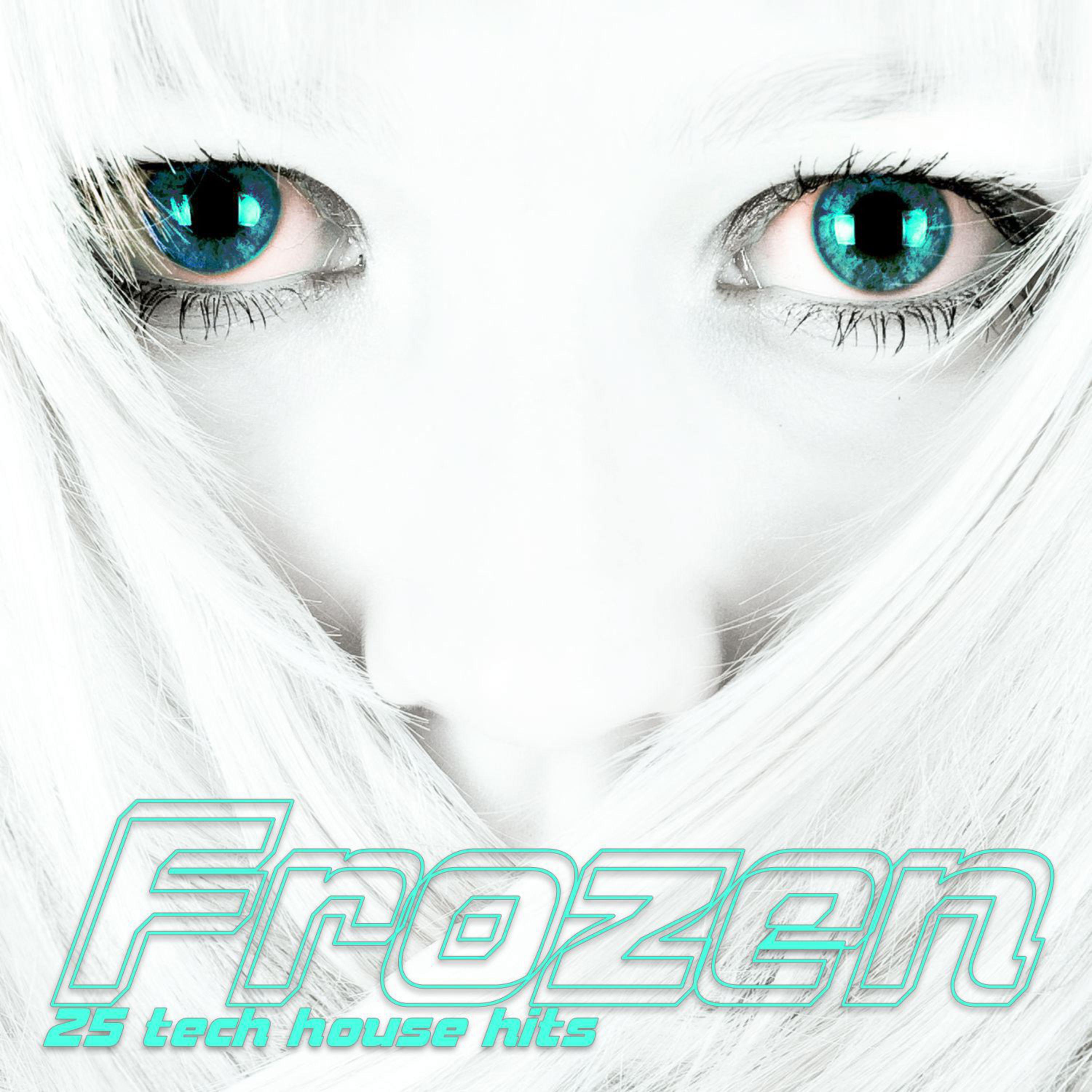 Frozen (25 Tech House Hits)