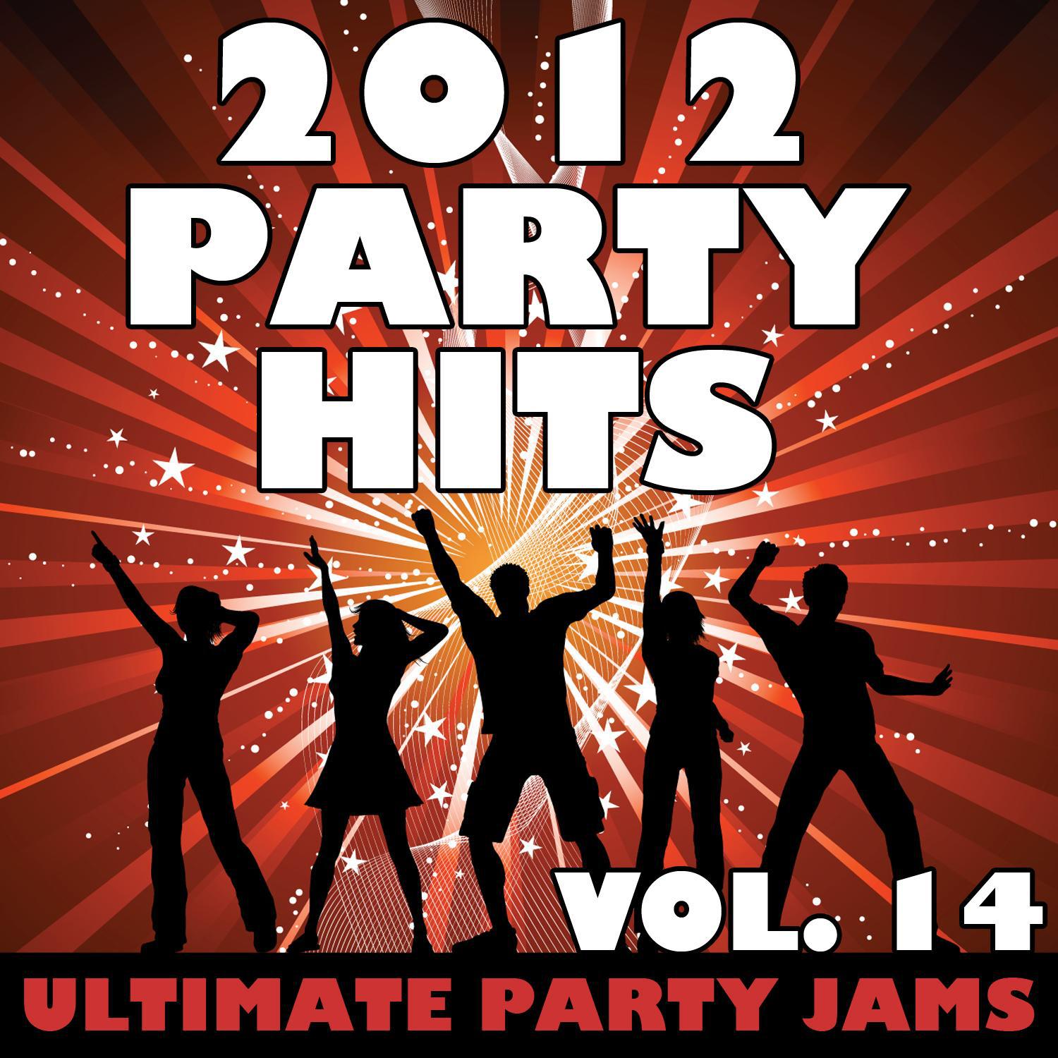 2012 Party Hits, Vol. 14