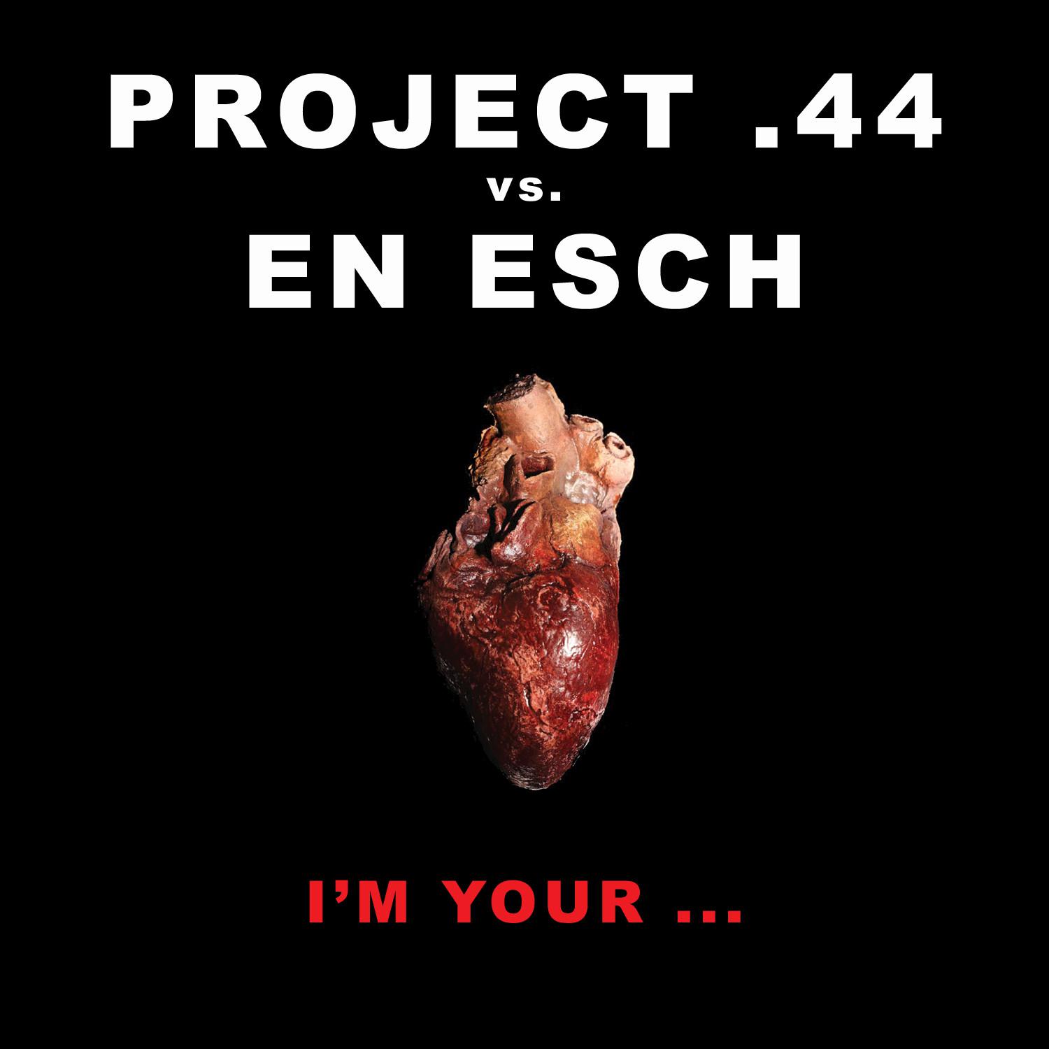 PROJECT .44 vs. EN ESCH