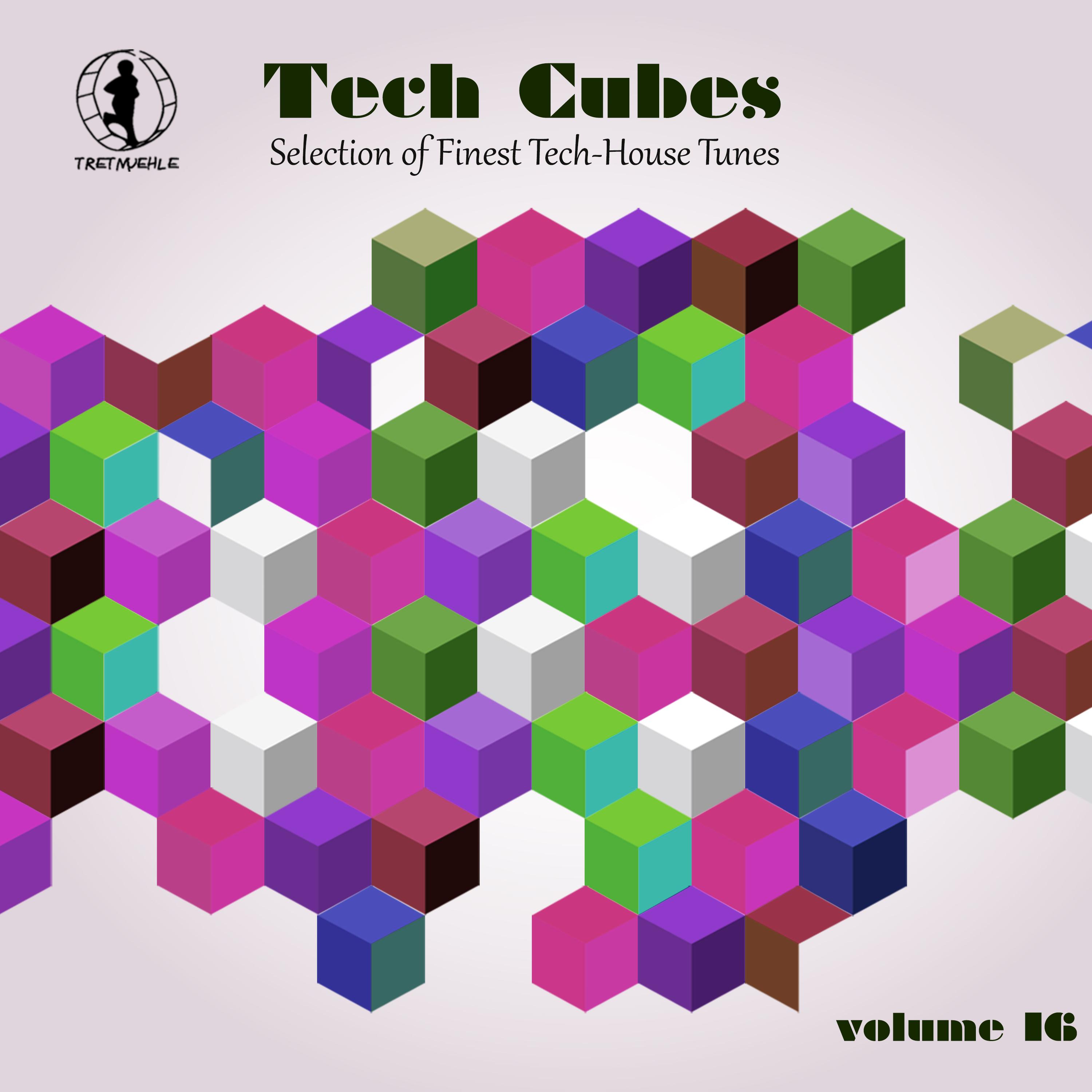 Tech Cubes, Vol. 16 - Selection of Finest Tech-House Tunes!