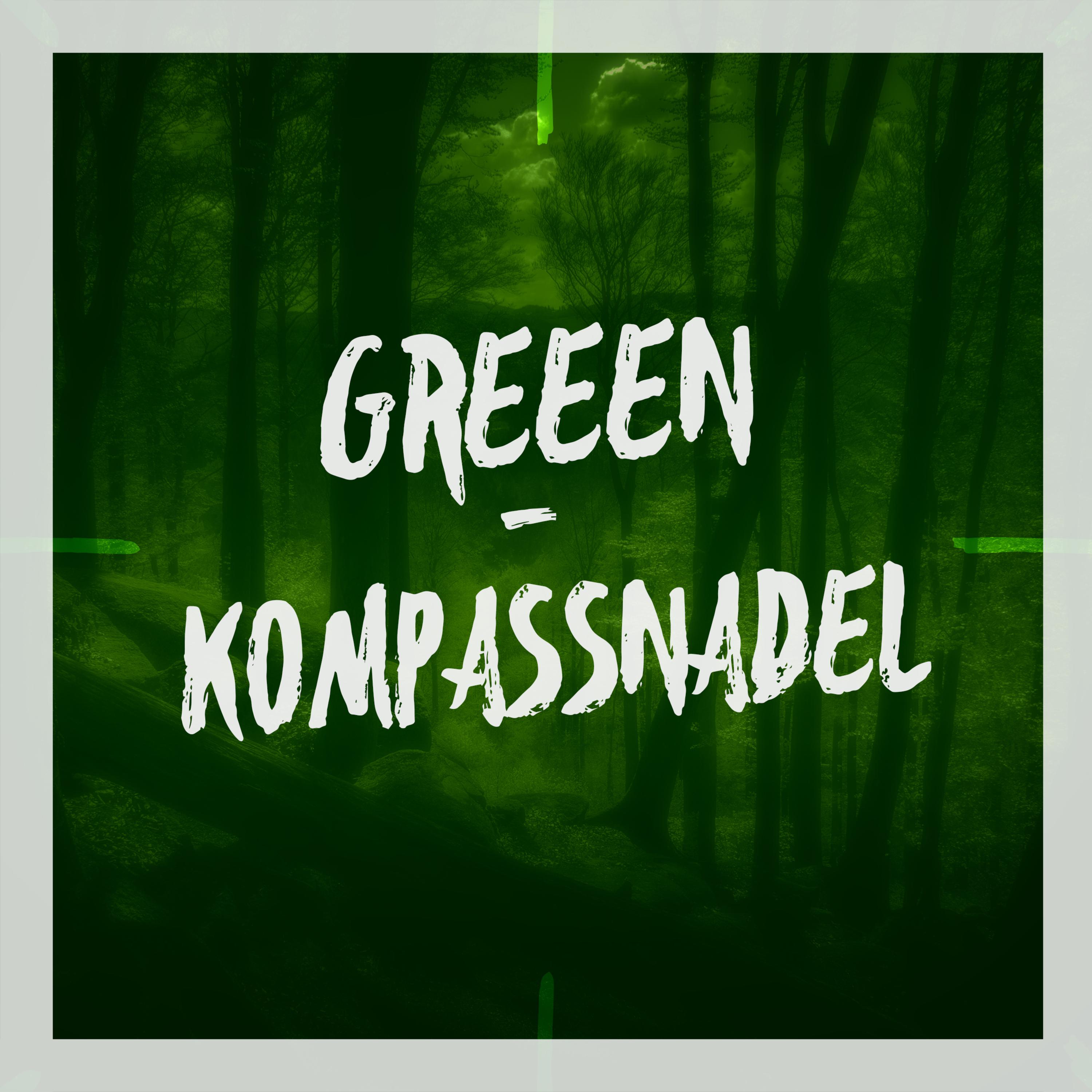 Kompassnadel