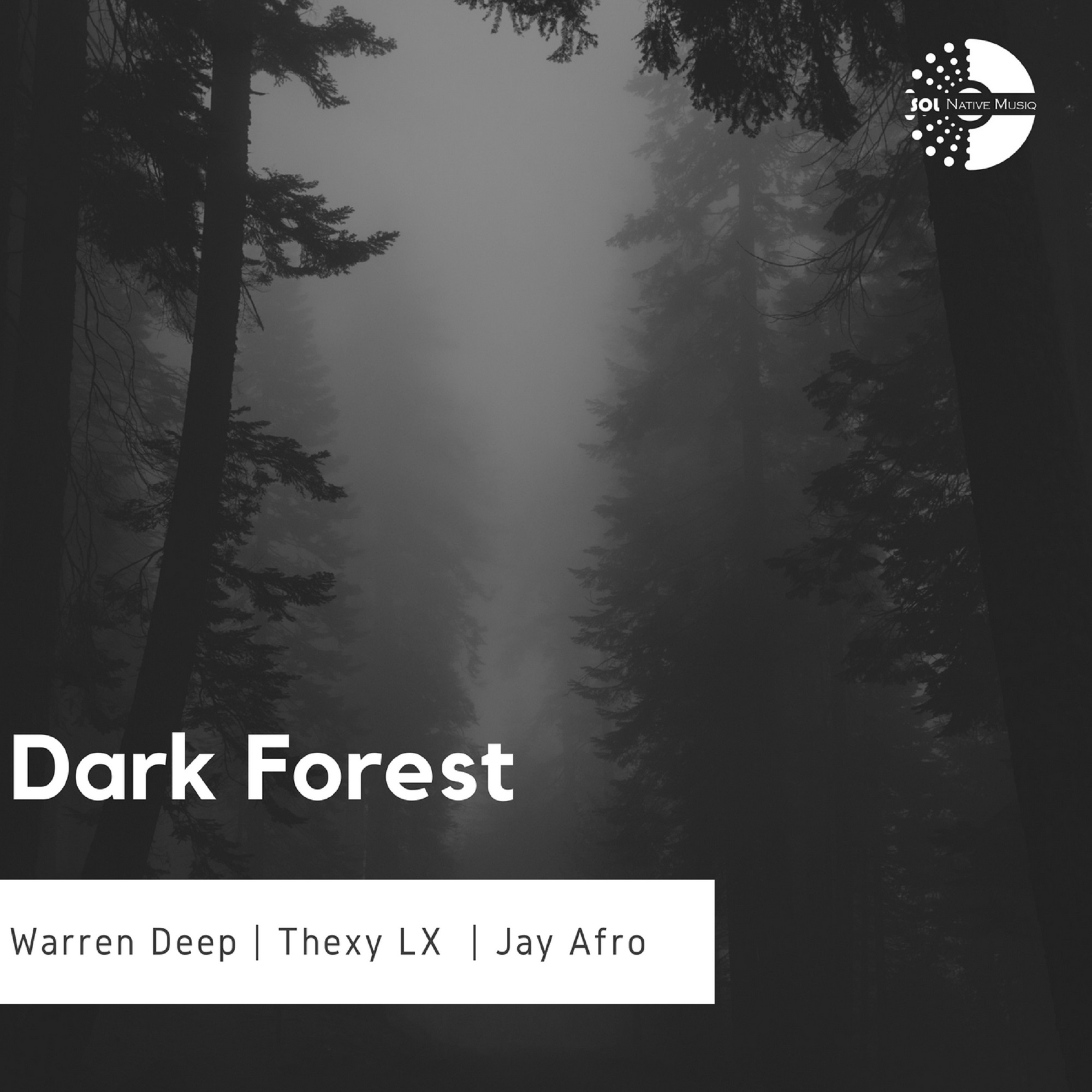 Dark Forest