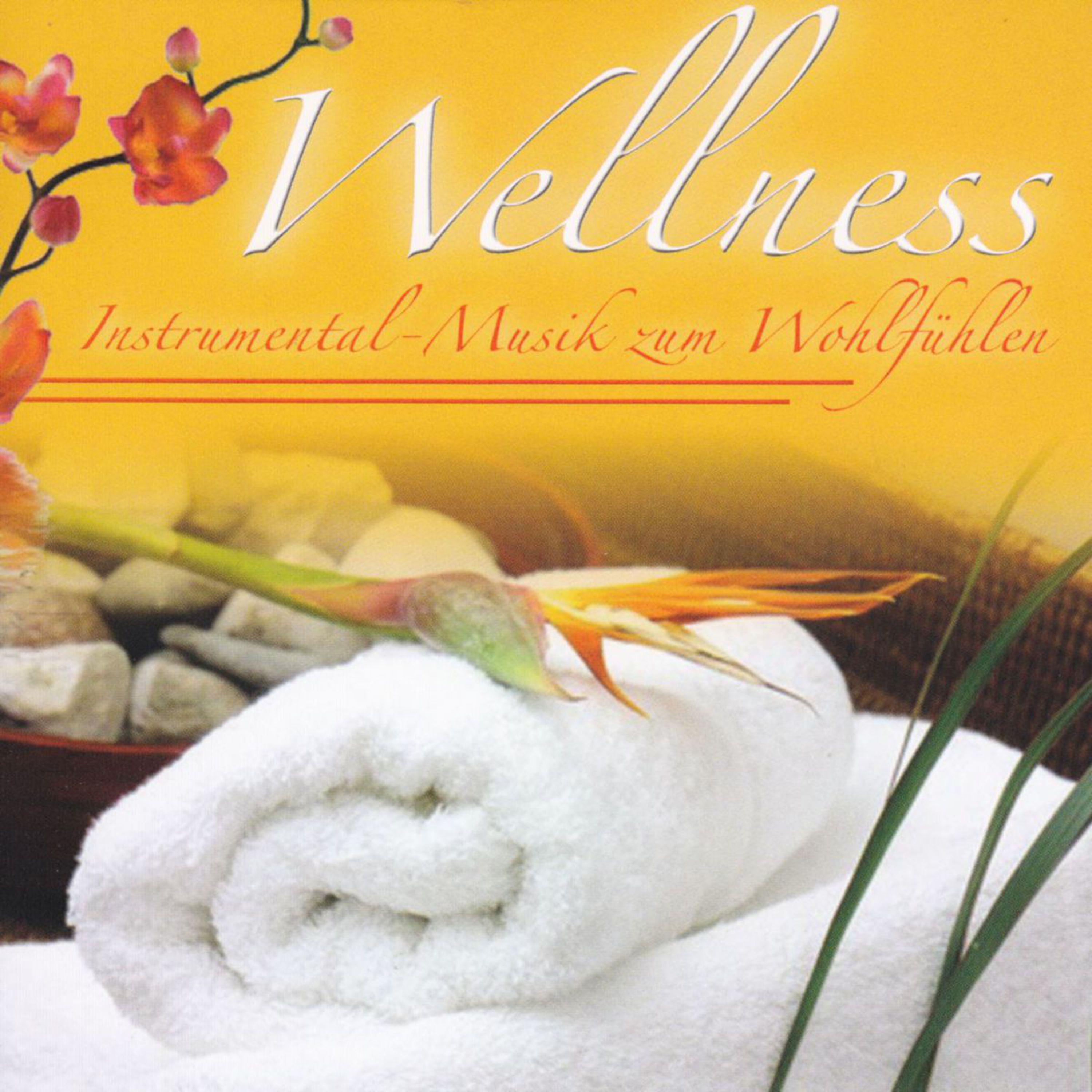 Wellness  InstrumentalMusik zum Wohlfü hlen, Vol. 1