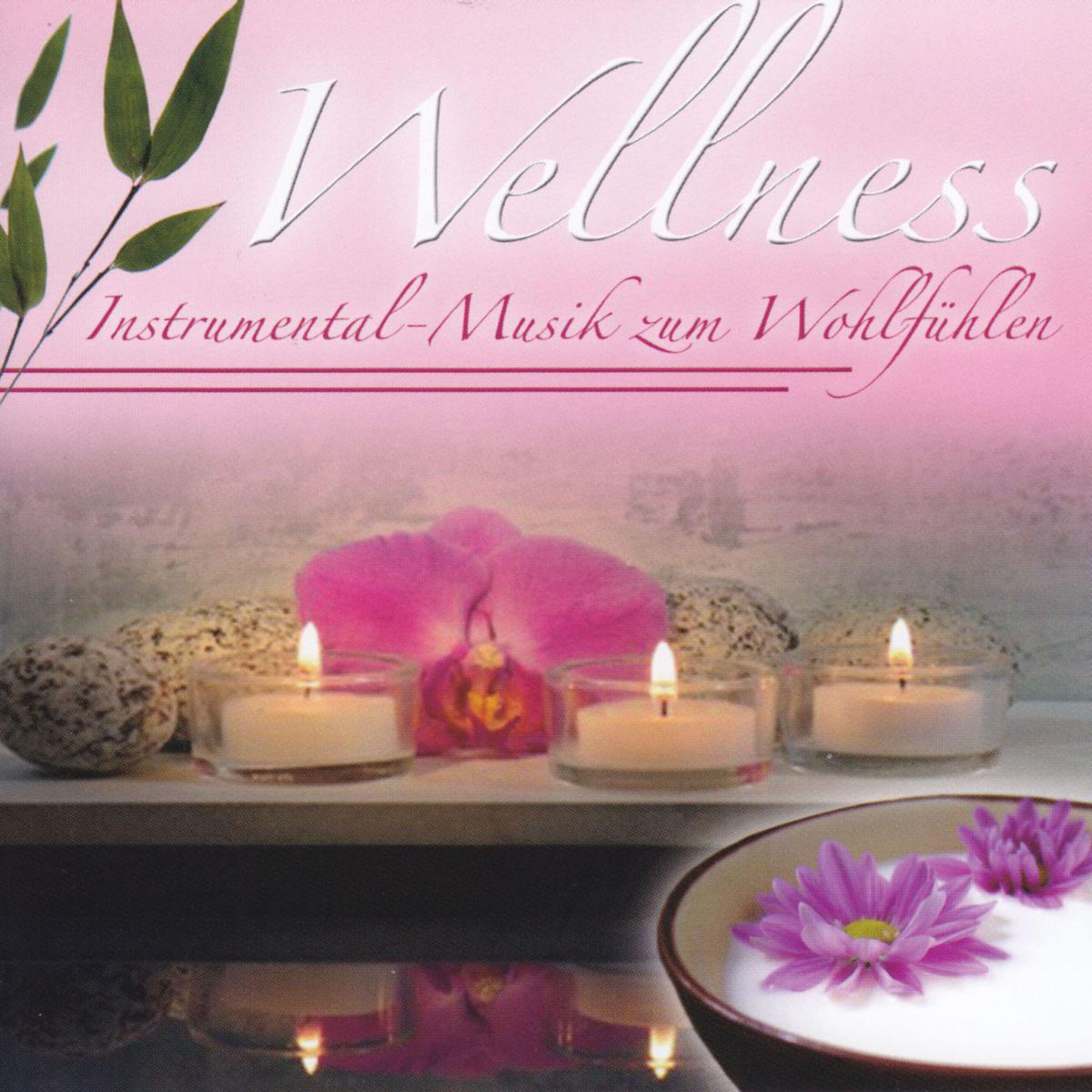 Wellness  InstrumentalMusik zum Wohlfü hlen, Vol. 2