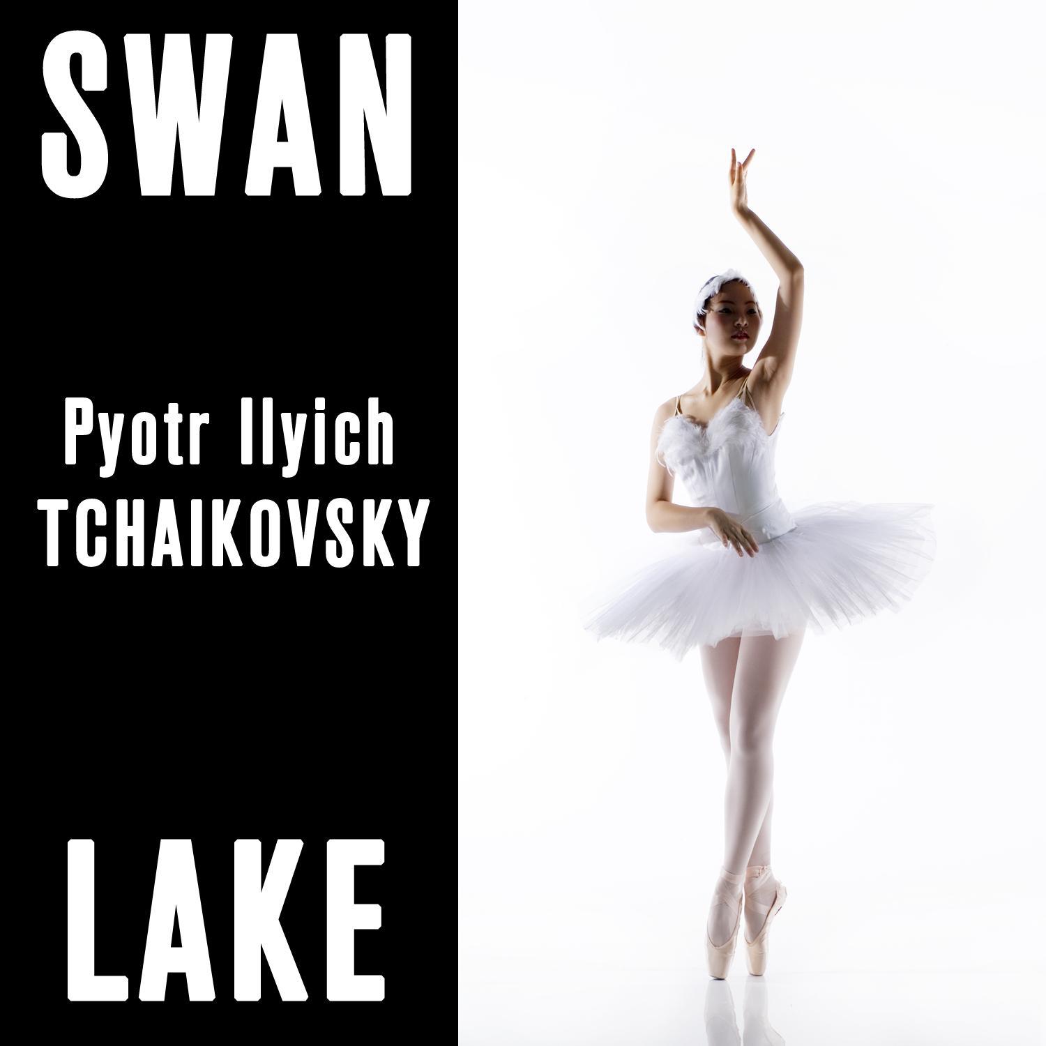 Swan Lake, Op. 20: No. 5, The Black Swan Pas de Deux: V. Coda