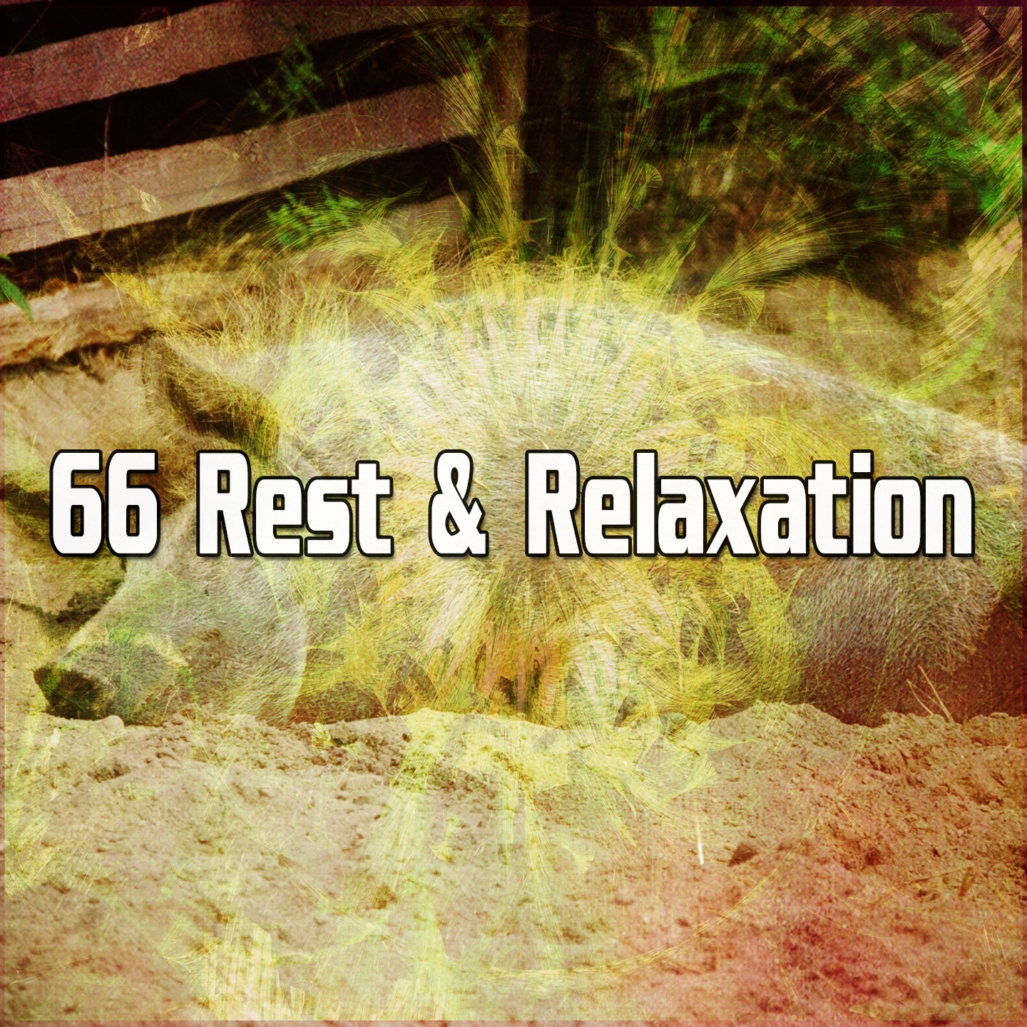 66 Rest & Relaxation