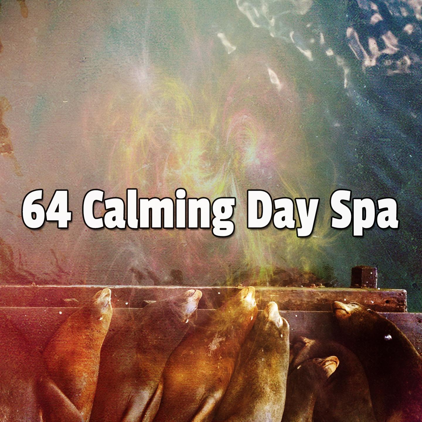 64 Calming Day Spa
