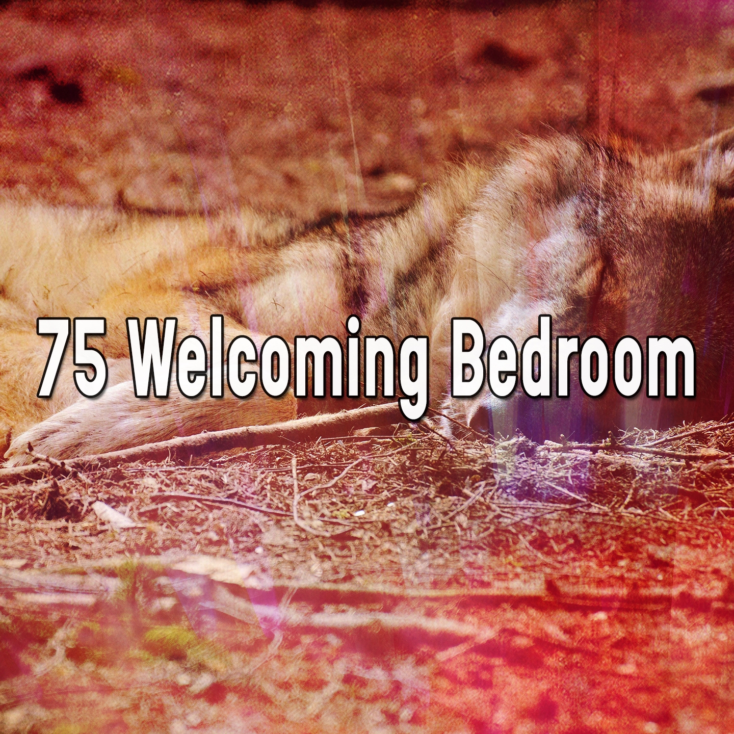 75 Welcoming Bedroom