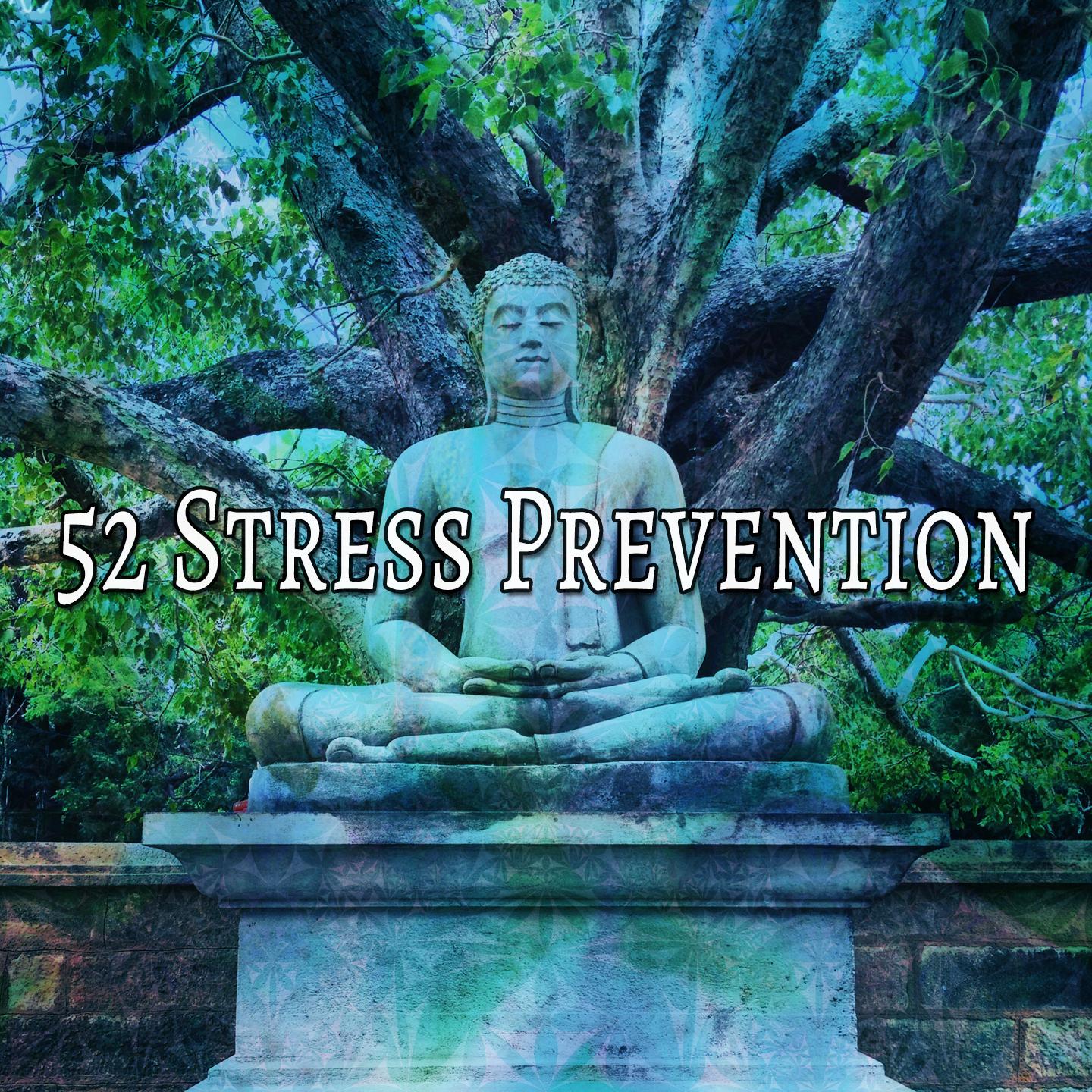 52 Stress Prevention