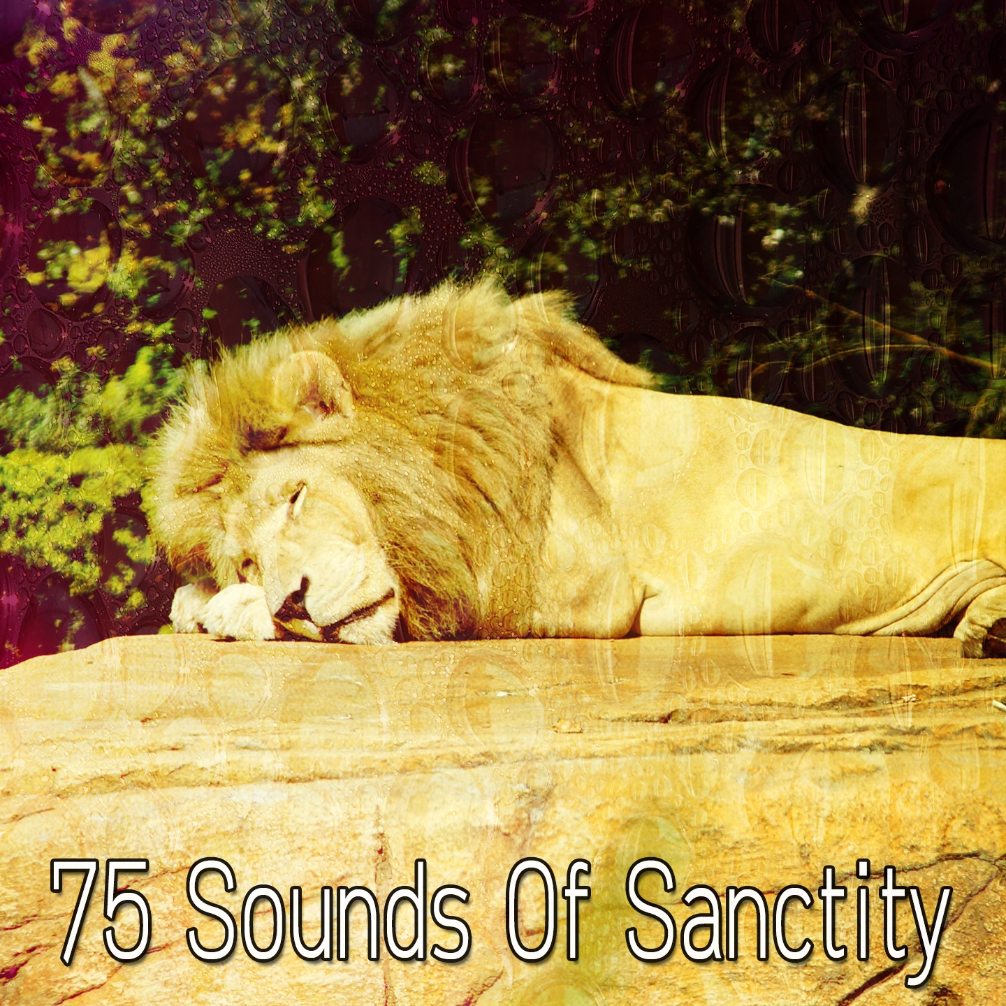 75 Sounds Of Sanctity