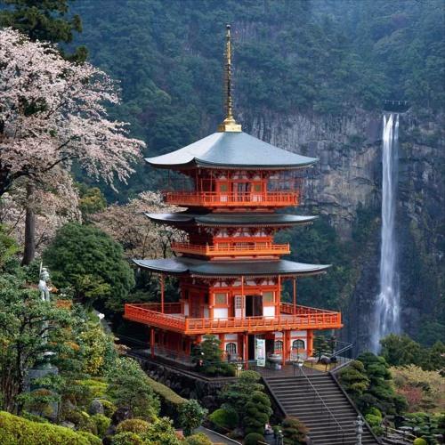 Nachi Falls 