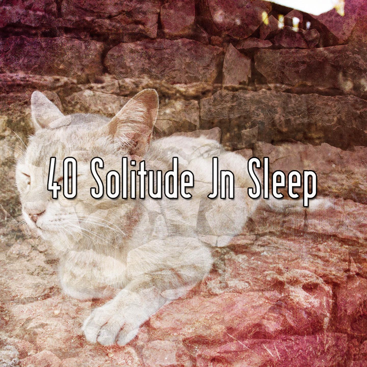 40 Solitude In Sleep