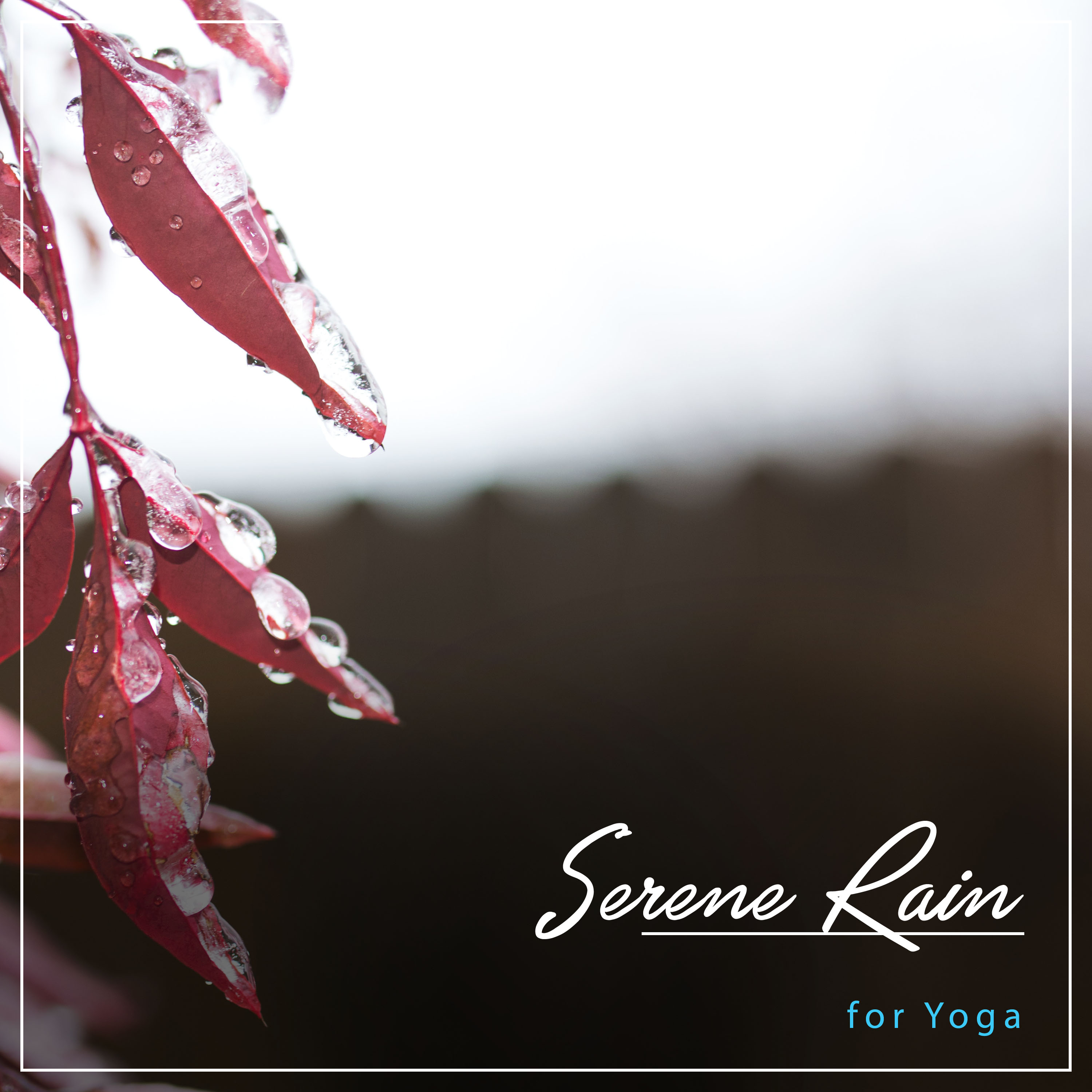 #10 Serene Rain Sounds for Yoga
