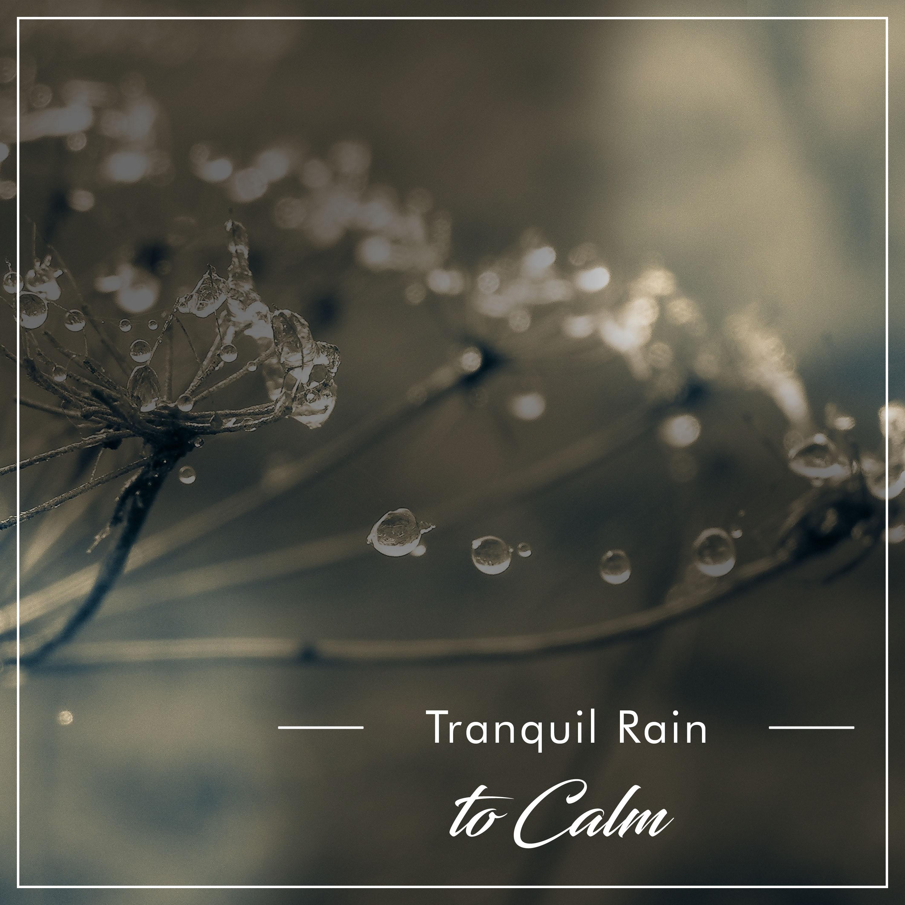#20 Tranquil Rain Album to Calm the Mind & Relax
