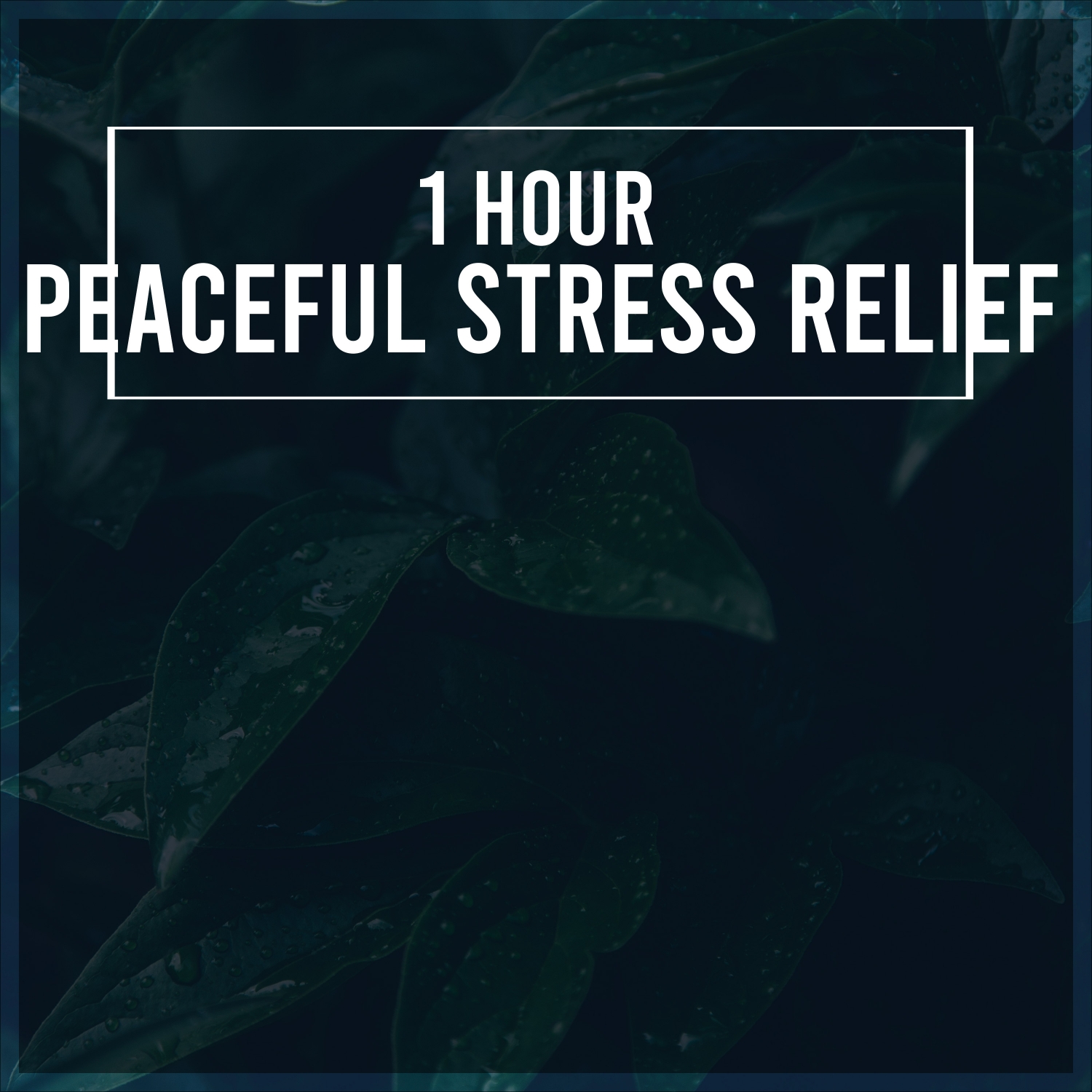 1 Hour Peaceful Soft Songs to Relieve Stress