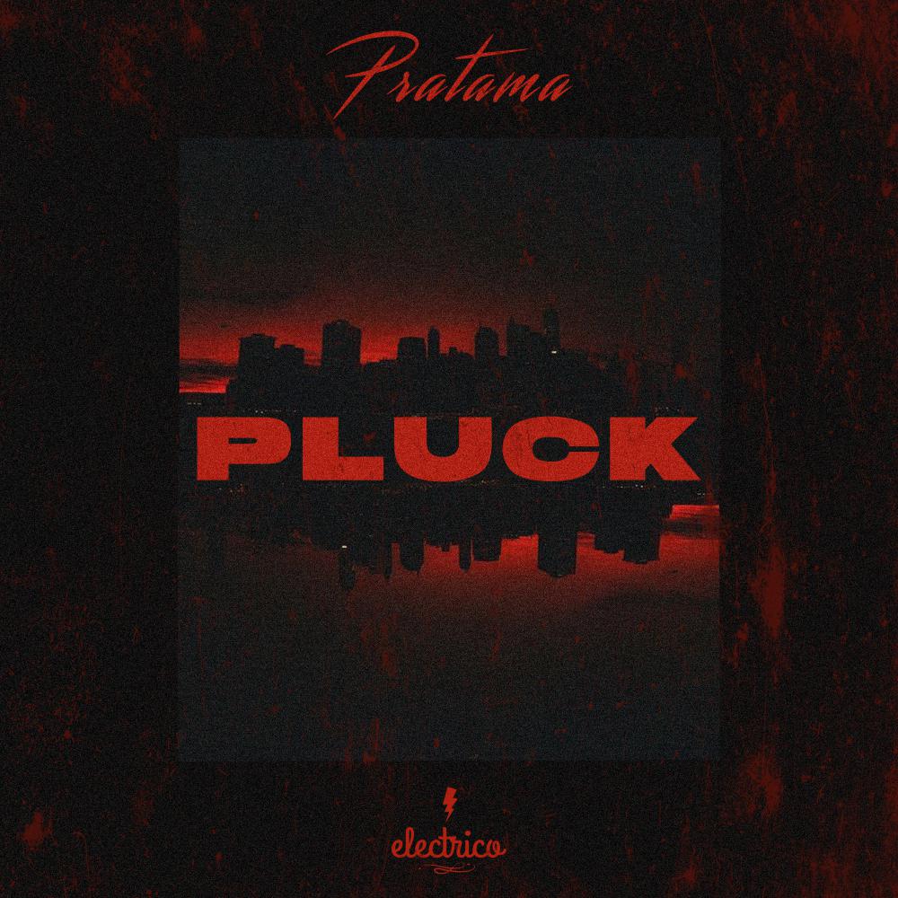 Pluck (Original Mix)