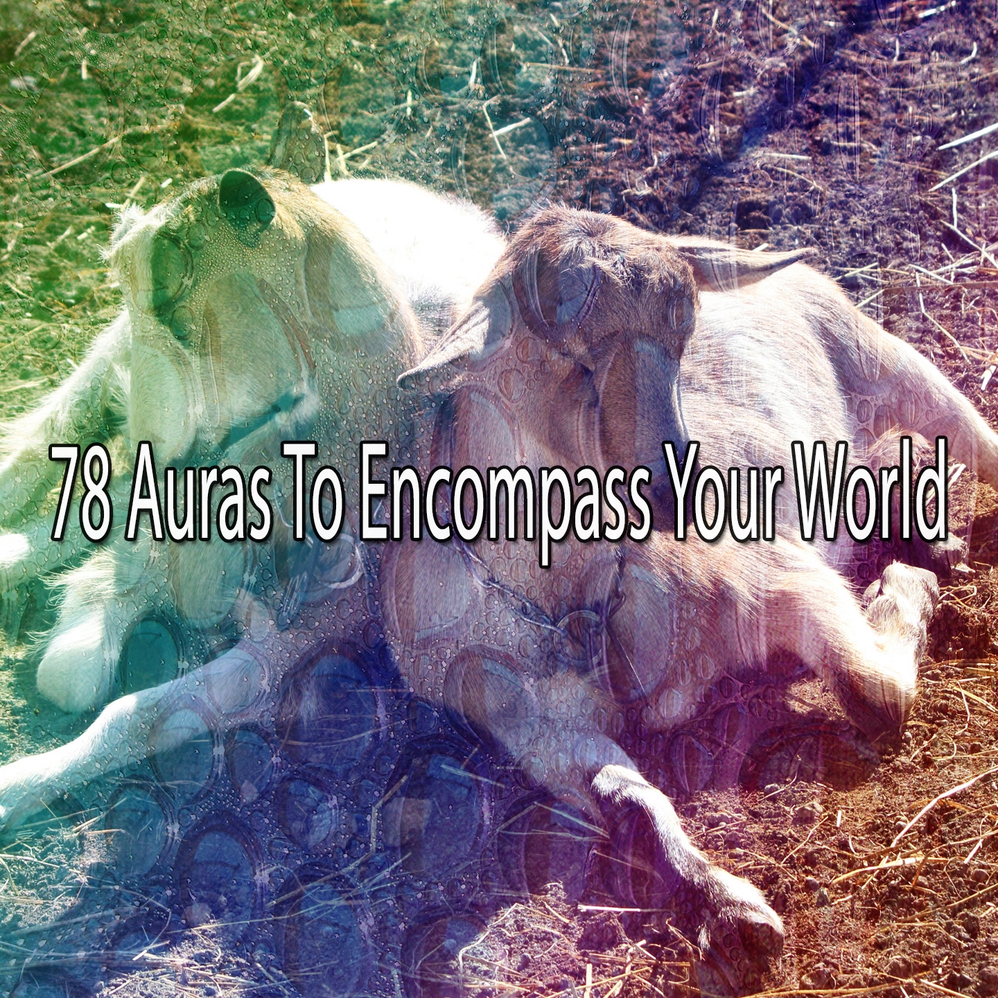 78 Auras To Encompass Your World