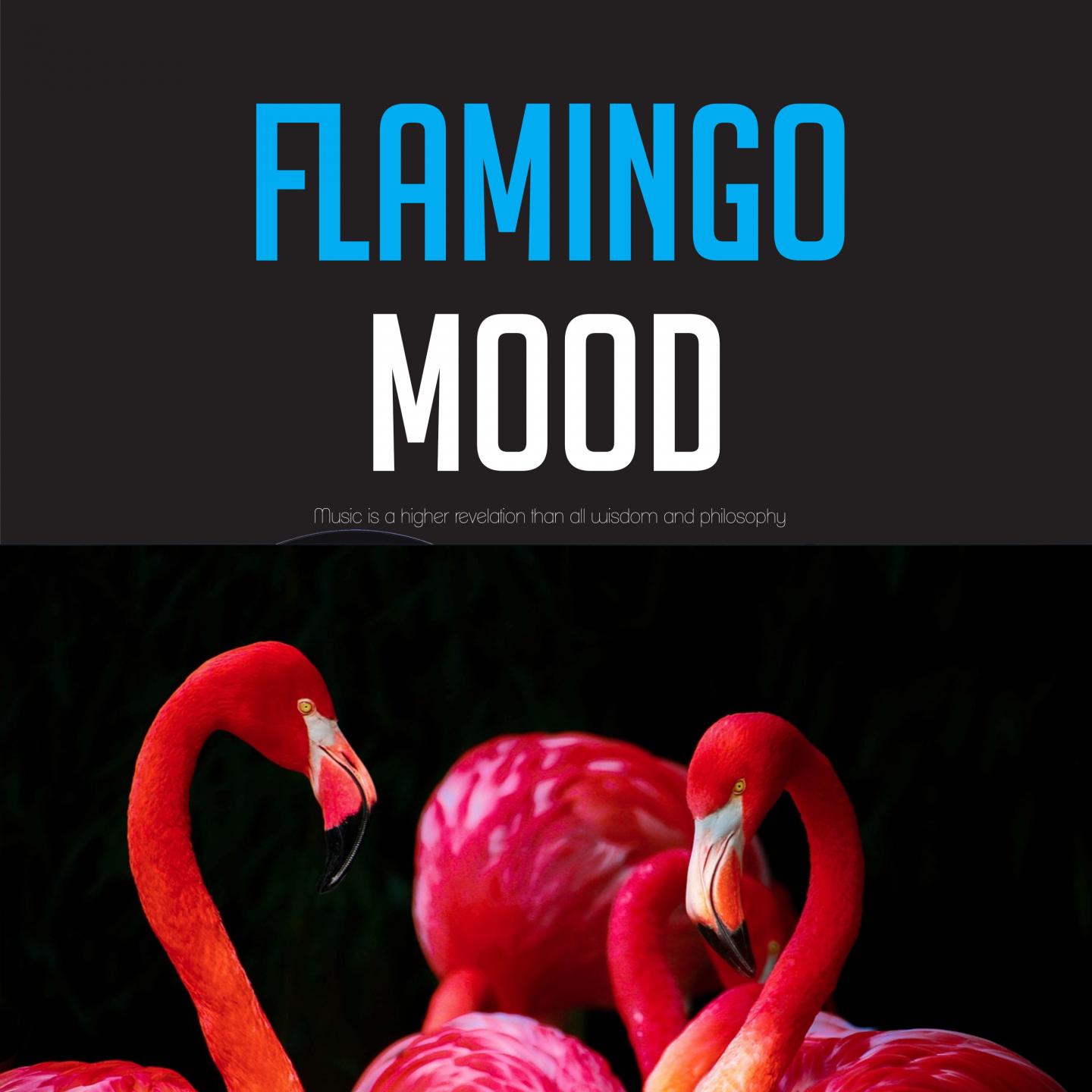 Flamingo Mood