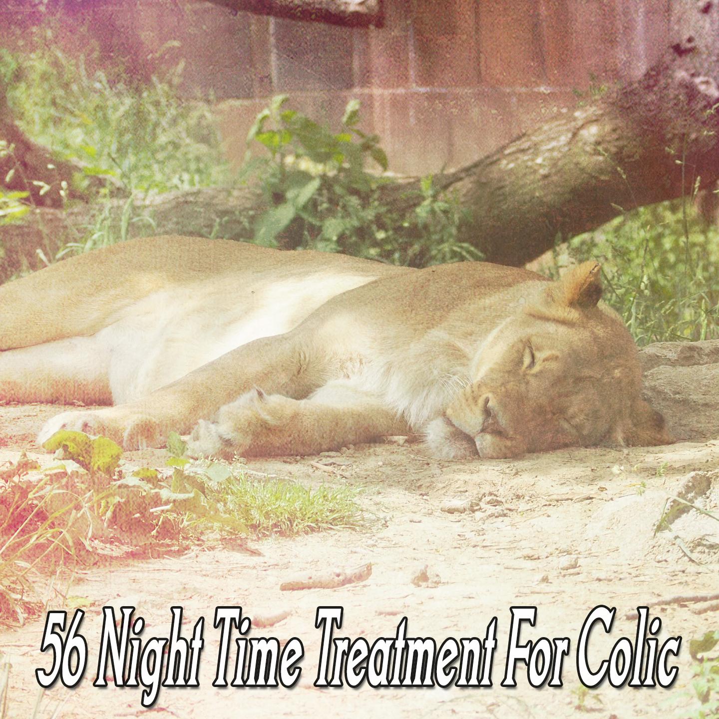 56 Night Time Treatment For Colic