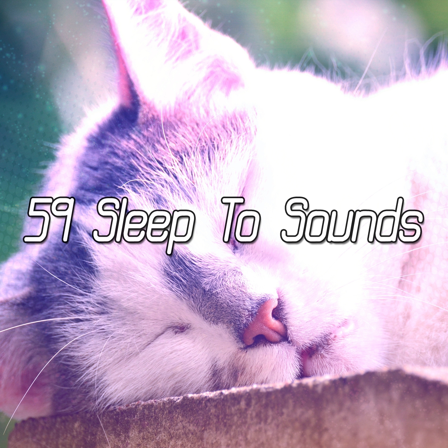 59 Sleep To Sounds