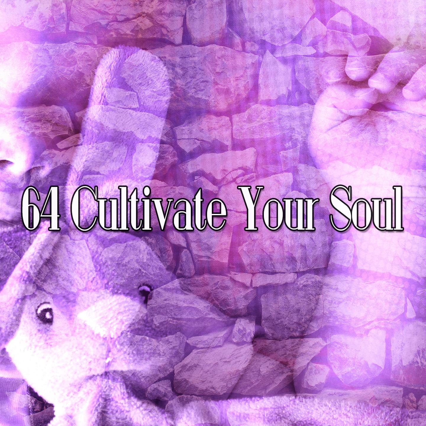64 Cultivate Your Soul