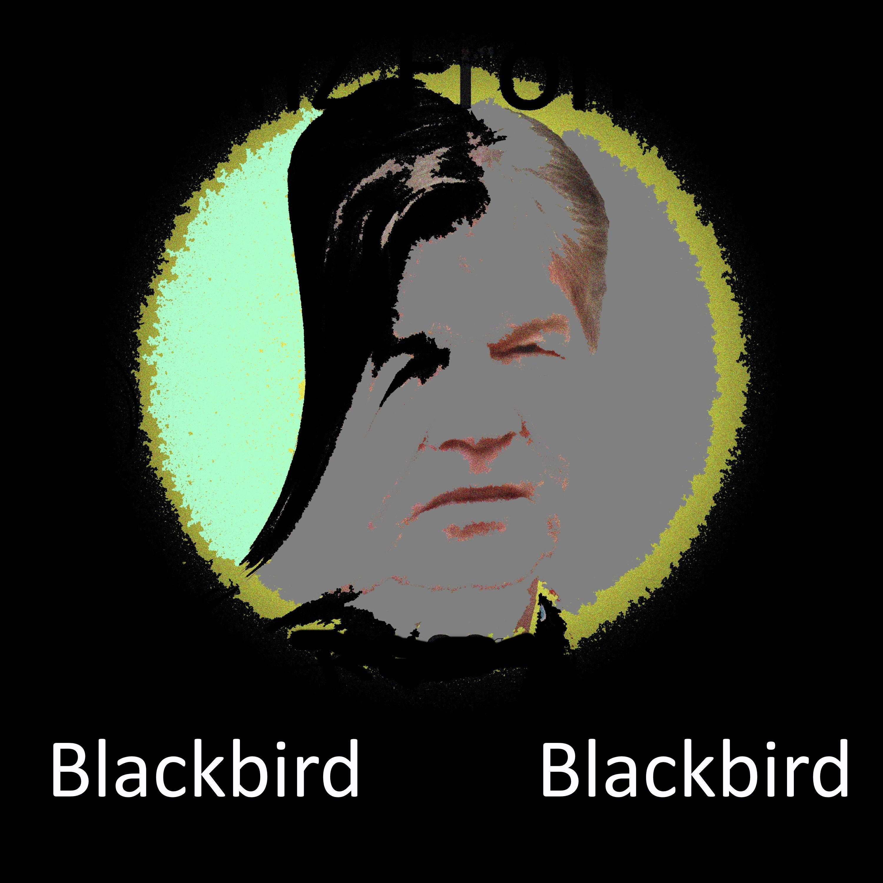 Blackbird