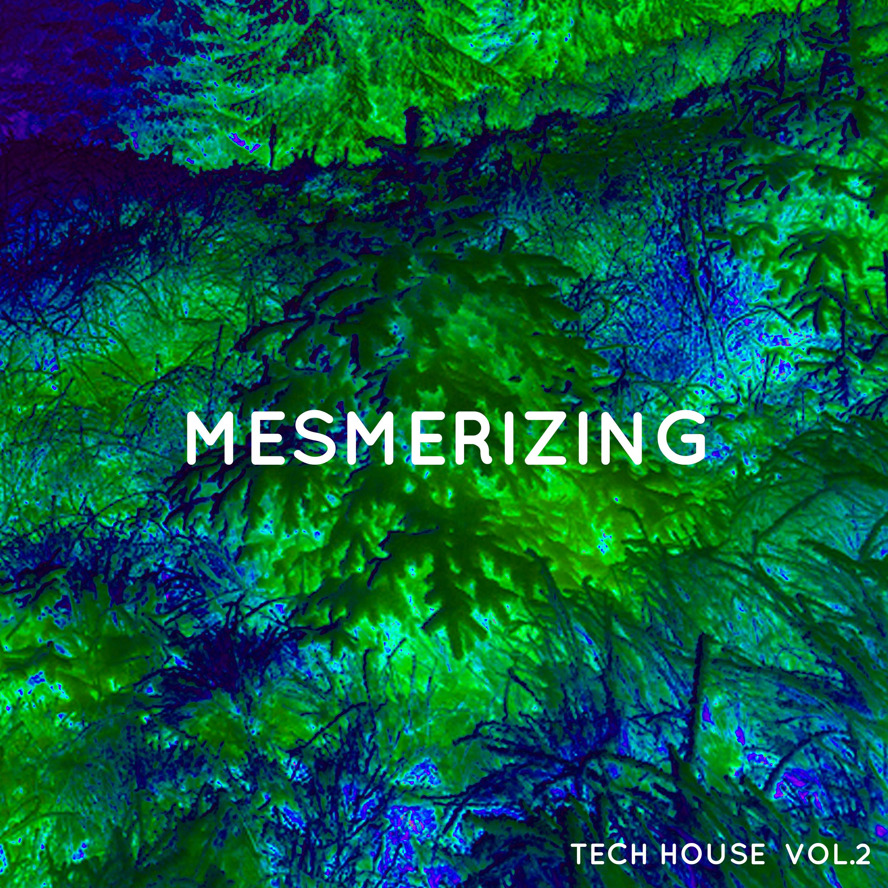 Mesmerizing Tech House, Vol. 2