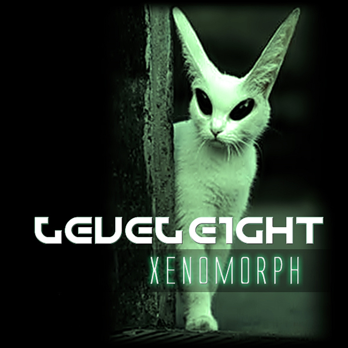 Flying with Butterflies