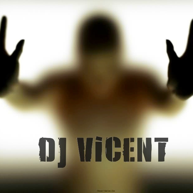Skrillex(DJ Vicent Remix)