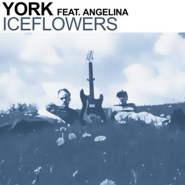 Iceflowers (Mope remix)