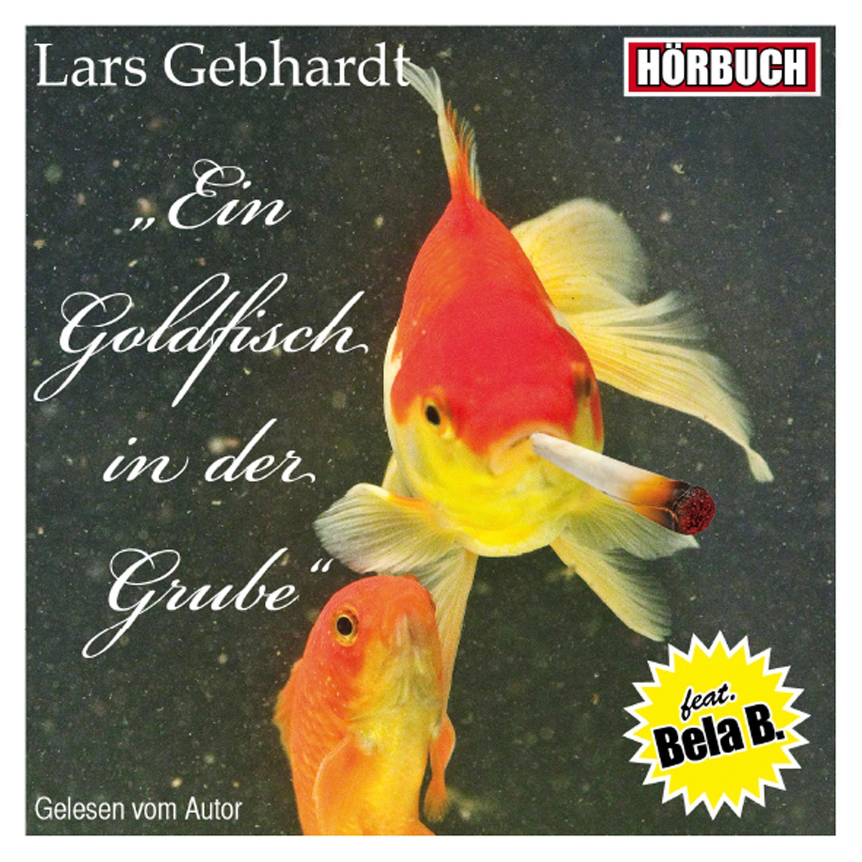 Ein Goldfisch in Der Grube