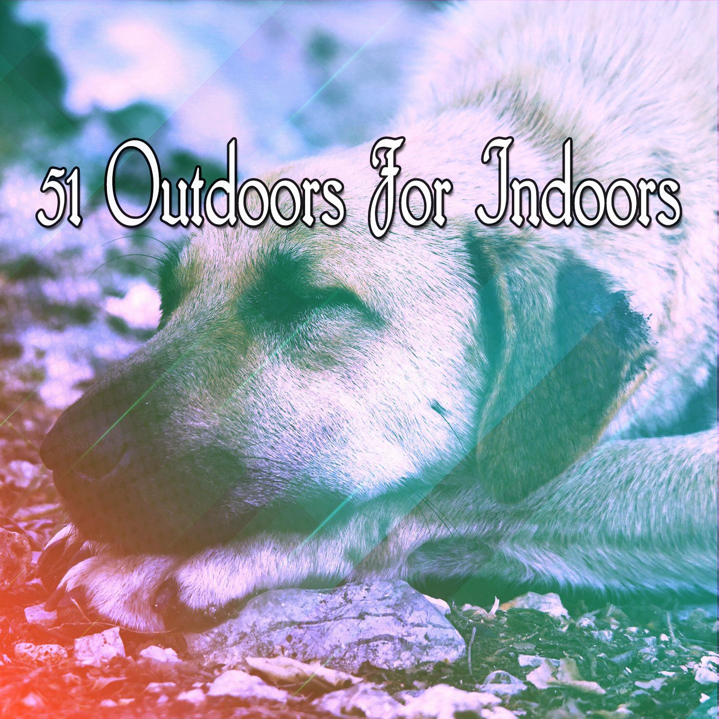 51 Outdoors For Indoors