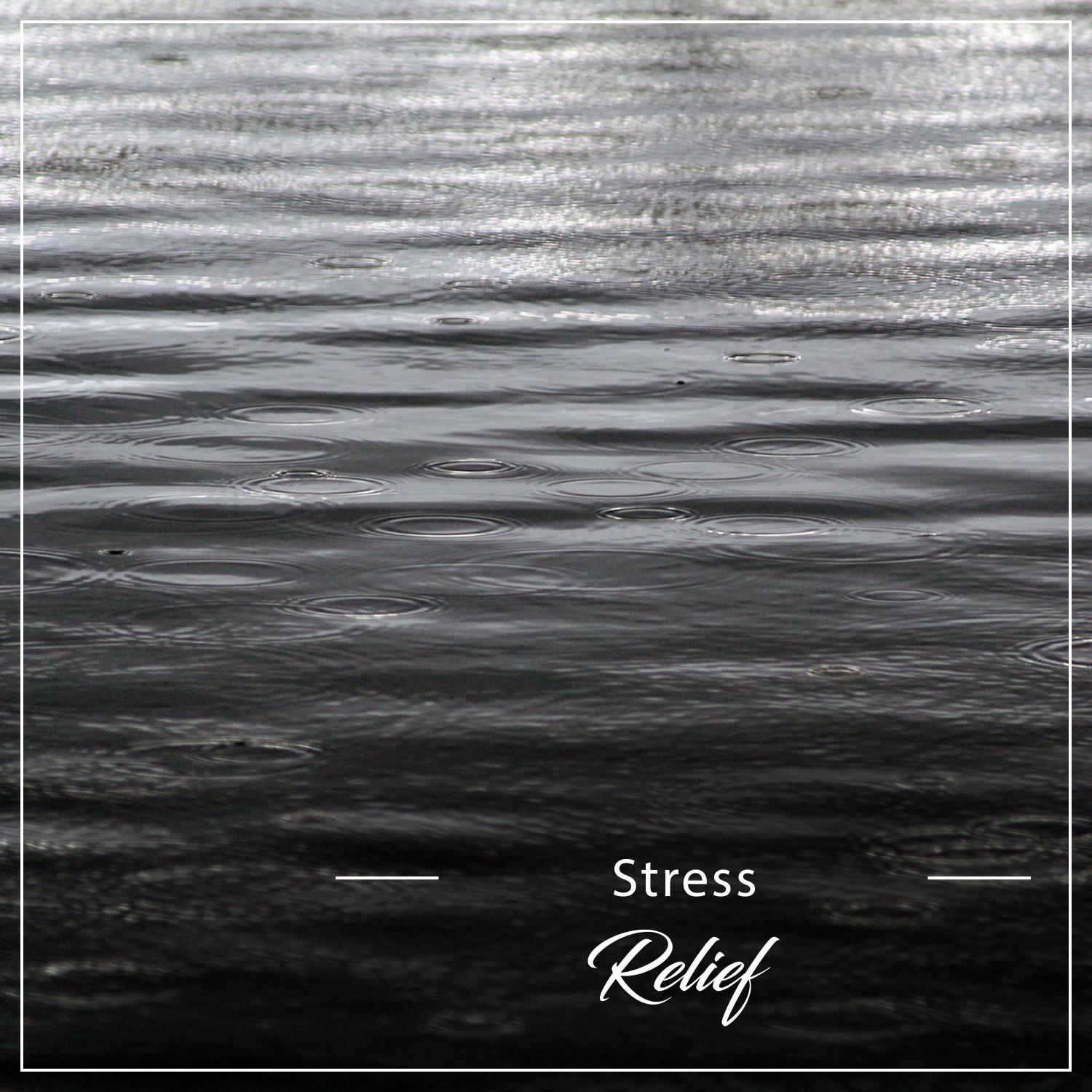 12 Calming Tracks to Relieve Stress