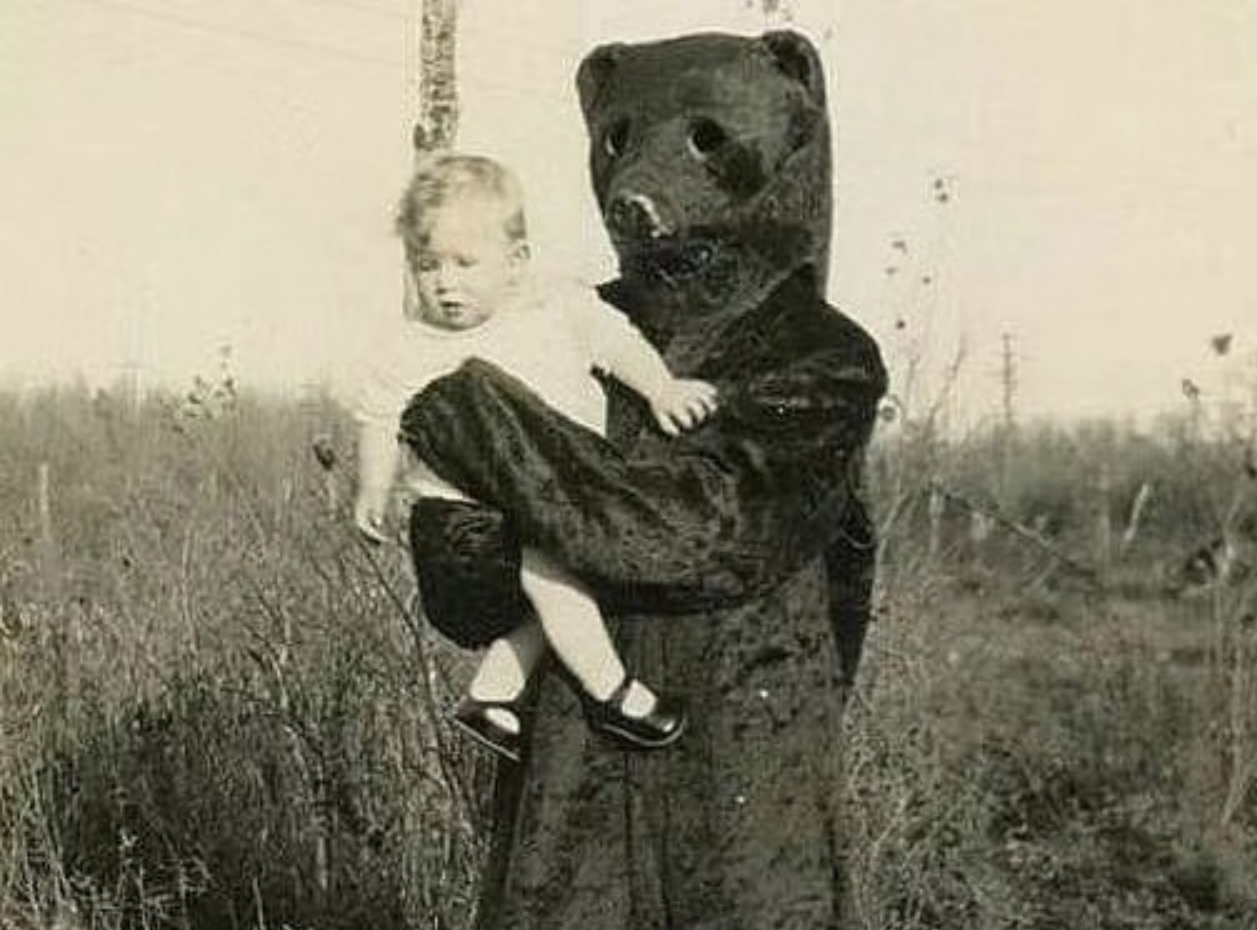 Dark bear