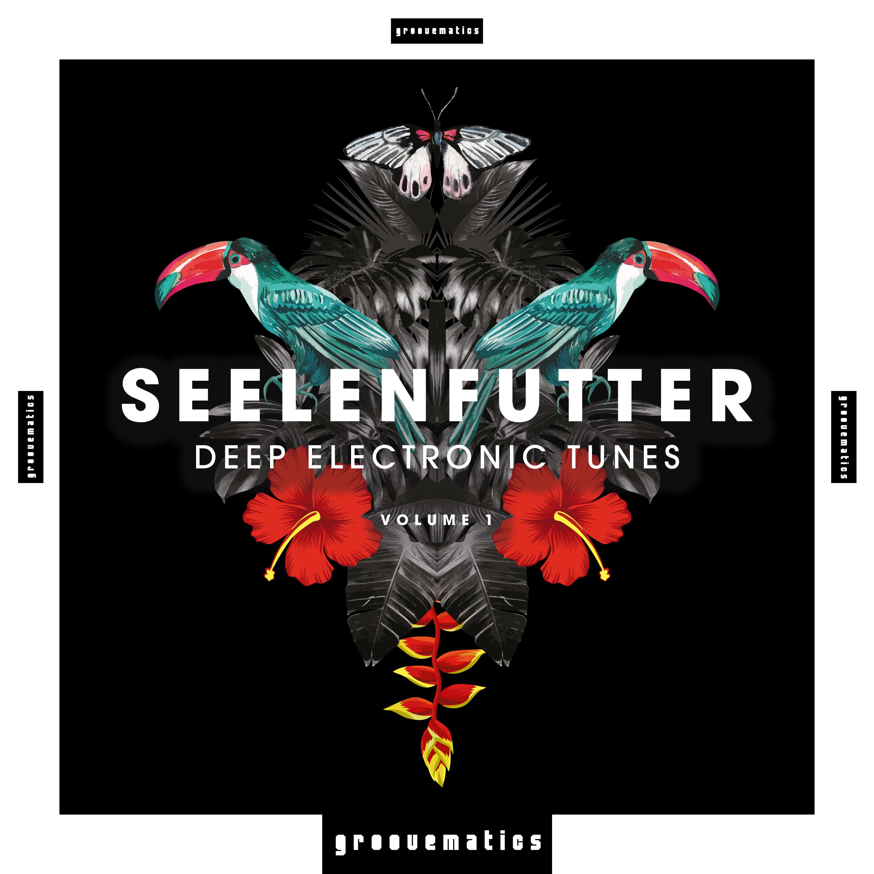 SeelenFutter (Deep Electronic Tunes), Vol. 1