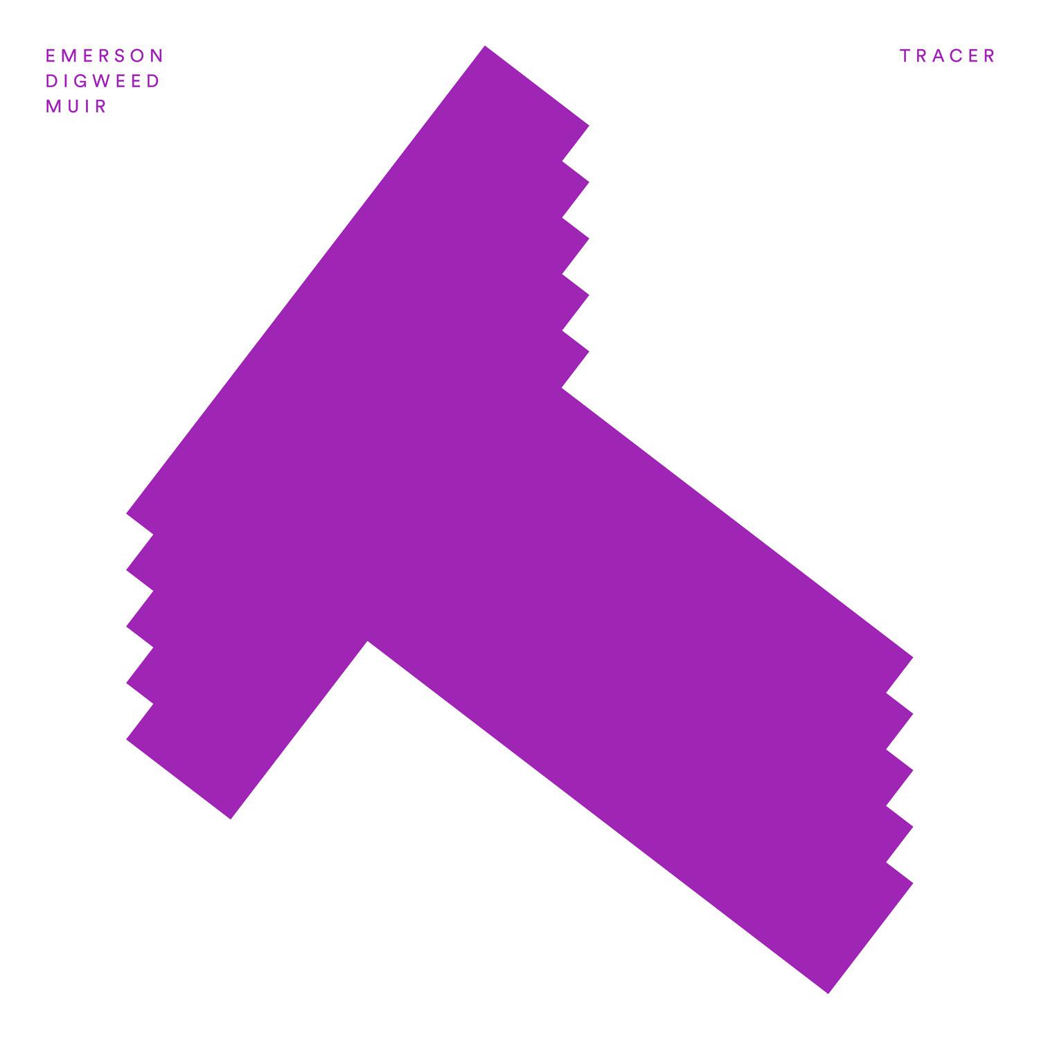 Tracer (Reude Hagelstein Remix)