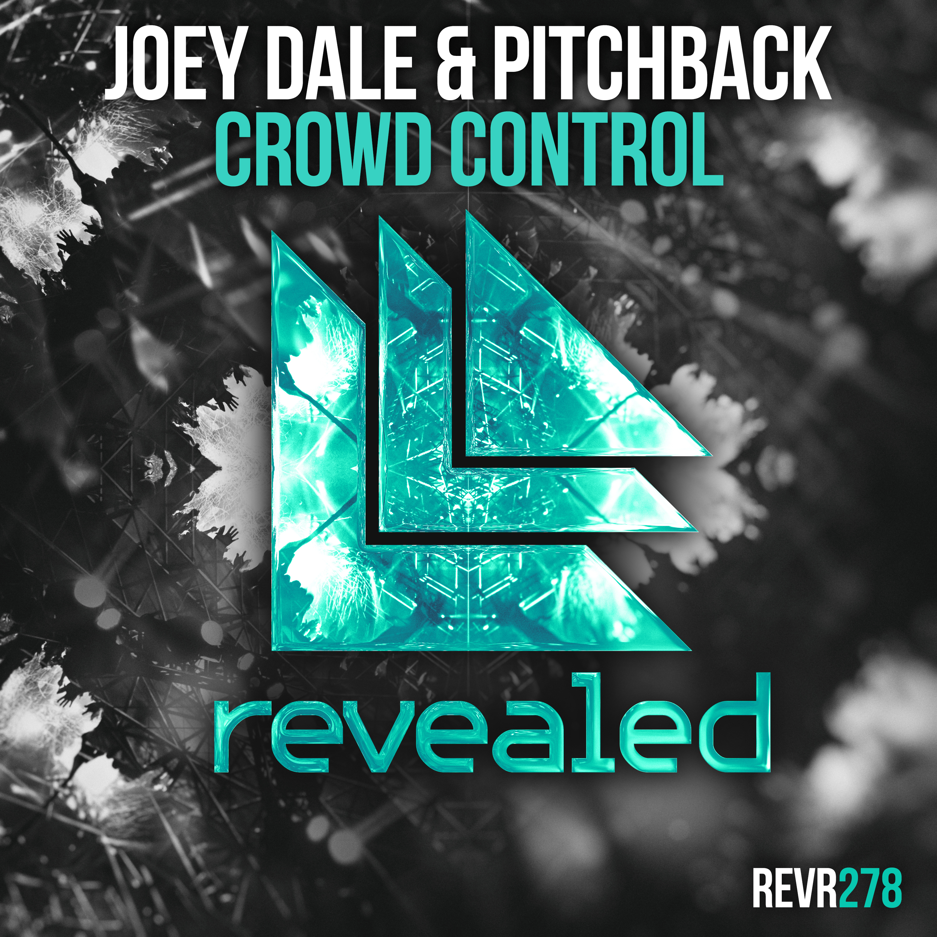 Crowd Control (Extended Mix)