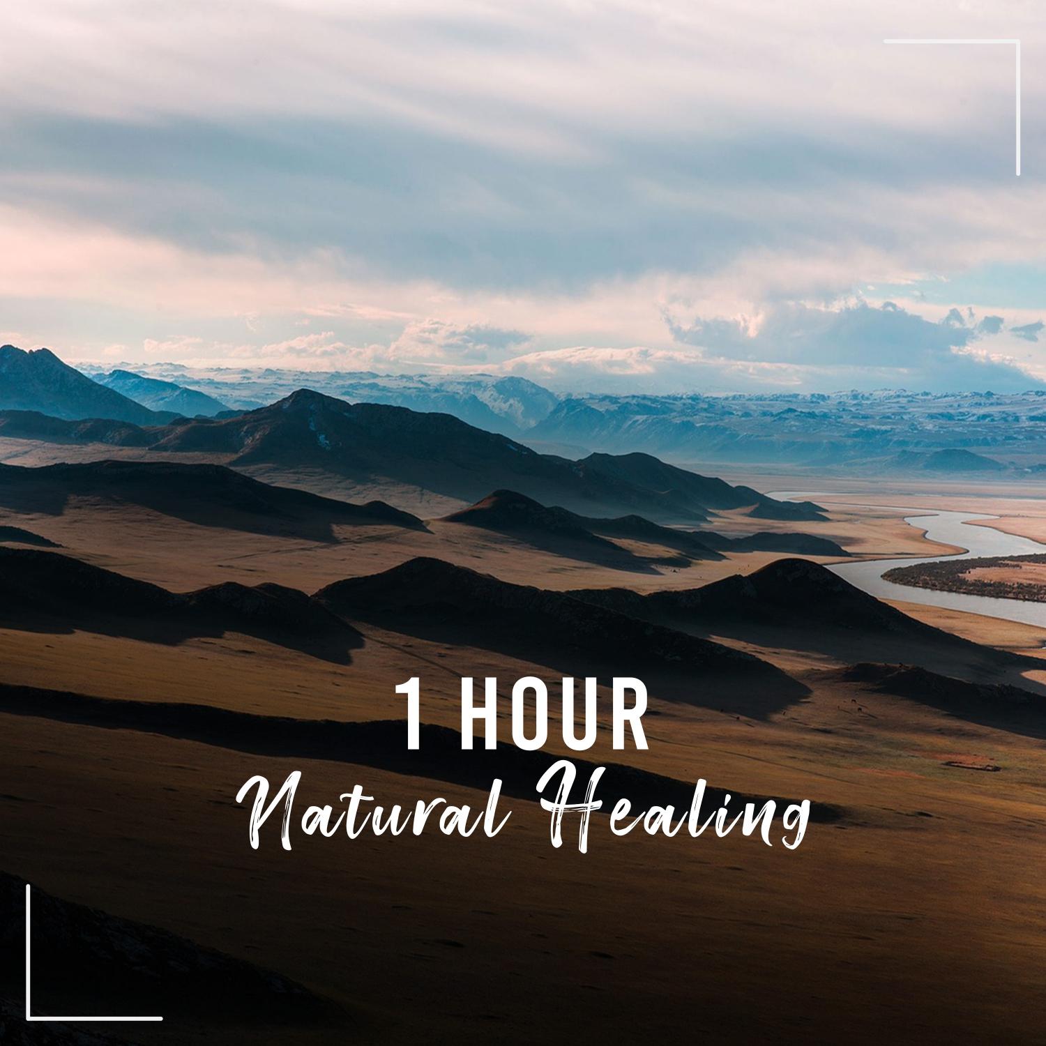 1 Hour Natural Healing Sounds for Practicing Calm