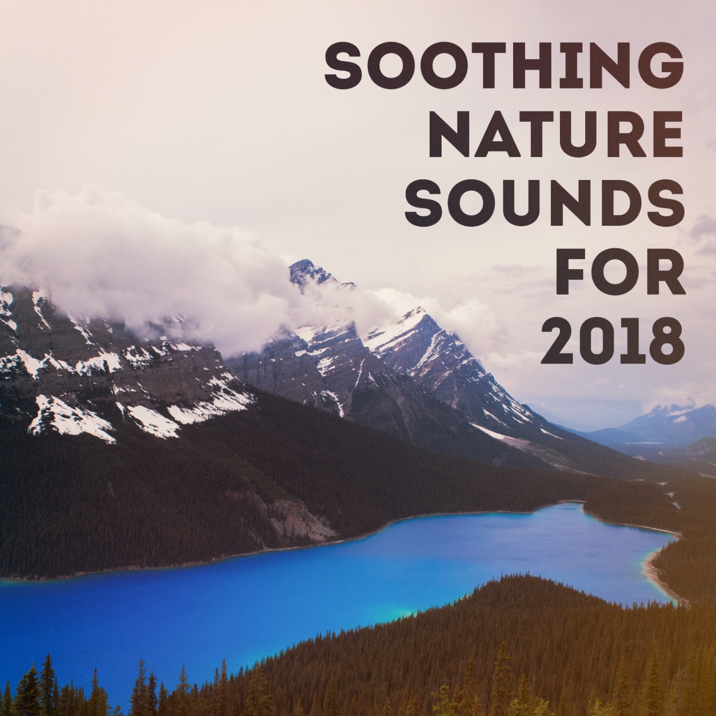 Soothing nature sounds for 2018