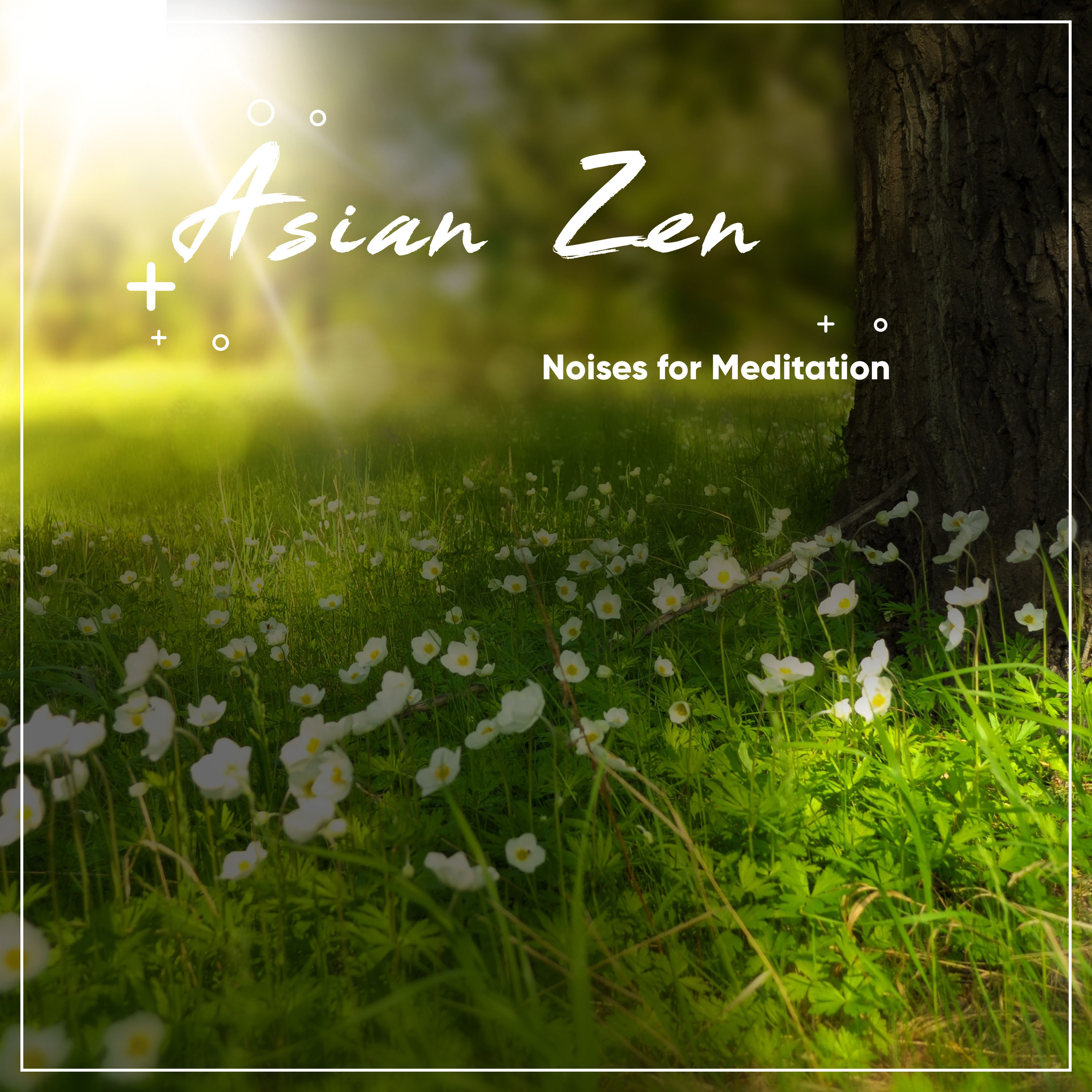 20 Relaxing Tracks to Aid Calm and Relaxation